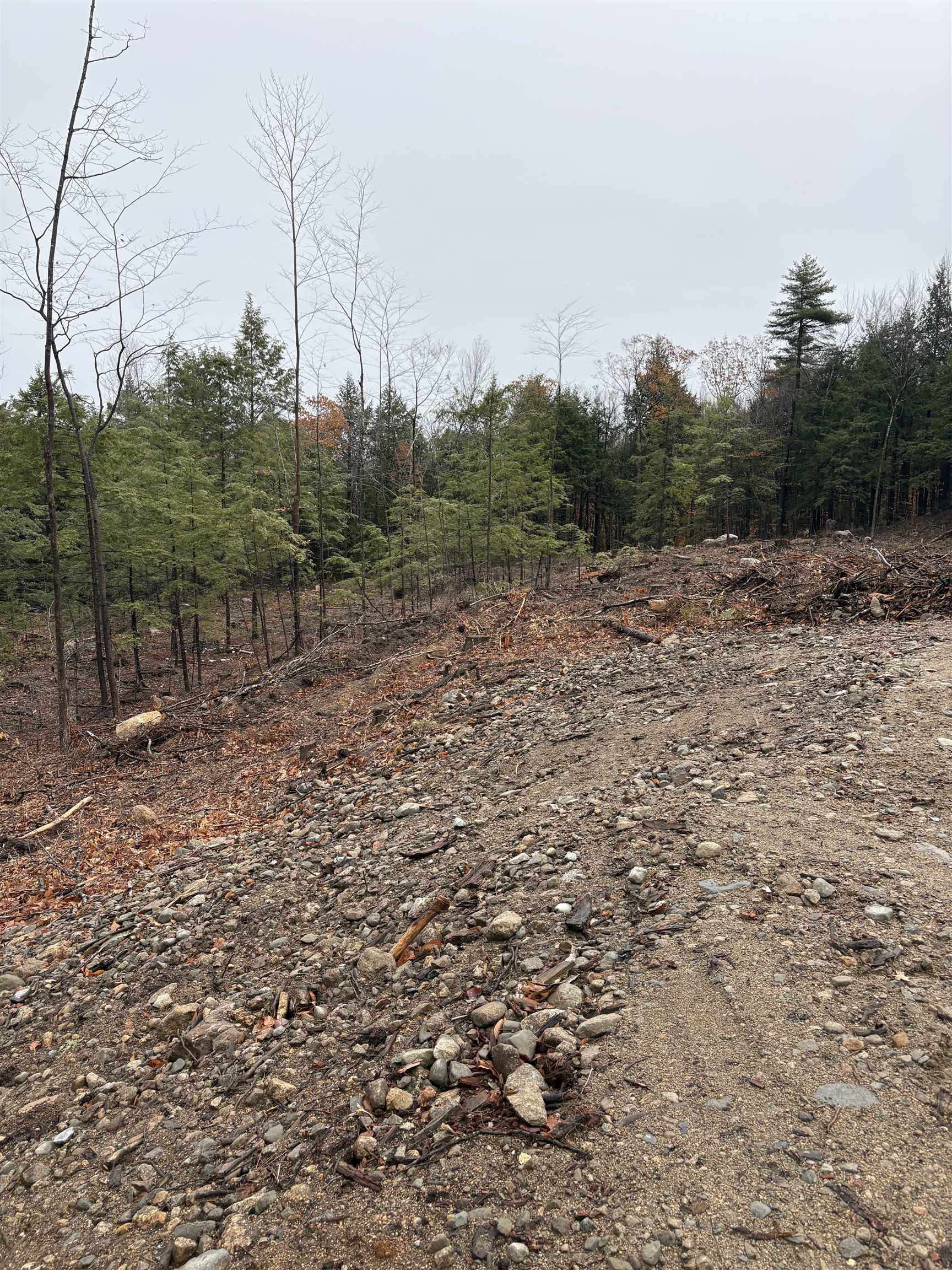 Homes for sale in Ossipee, NH | 9 Sugarloaf Dr, Ossipee, NH 03814 | MLS# 5069140