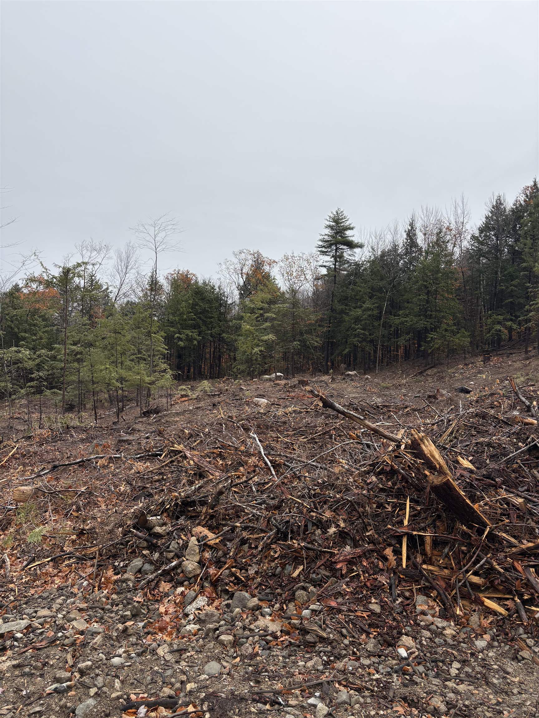 Homes for sale in Ossipee, NH | 9 Sugarloaf Dr, Ossipee, NH 03814 | MLS# 5069140