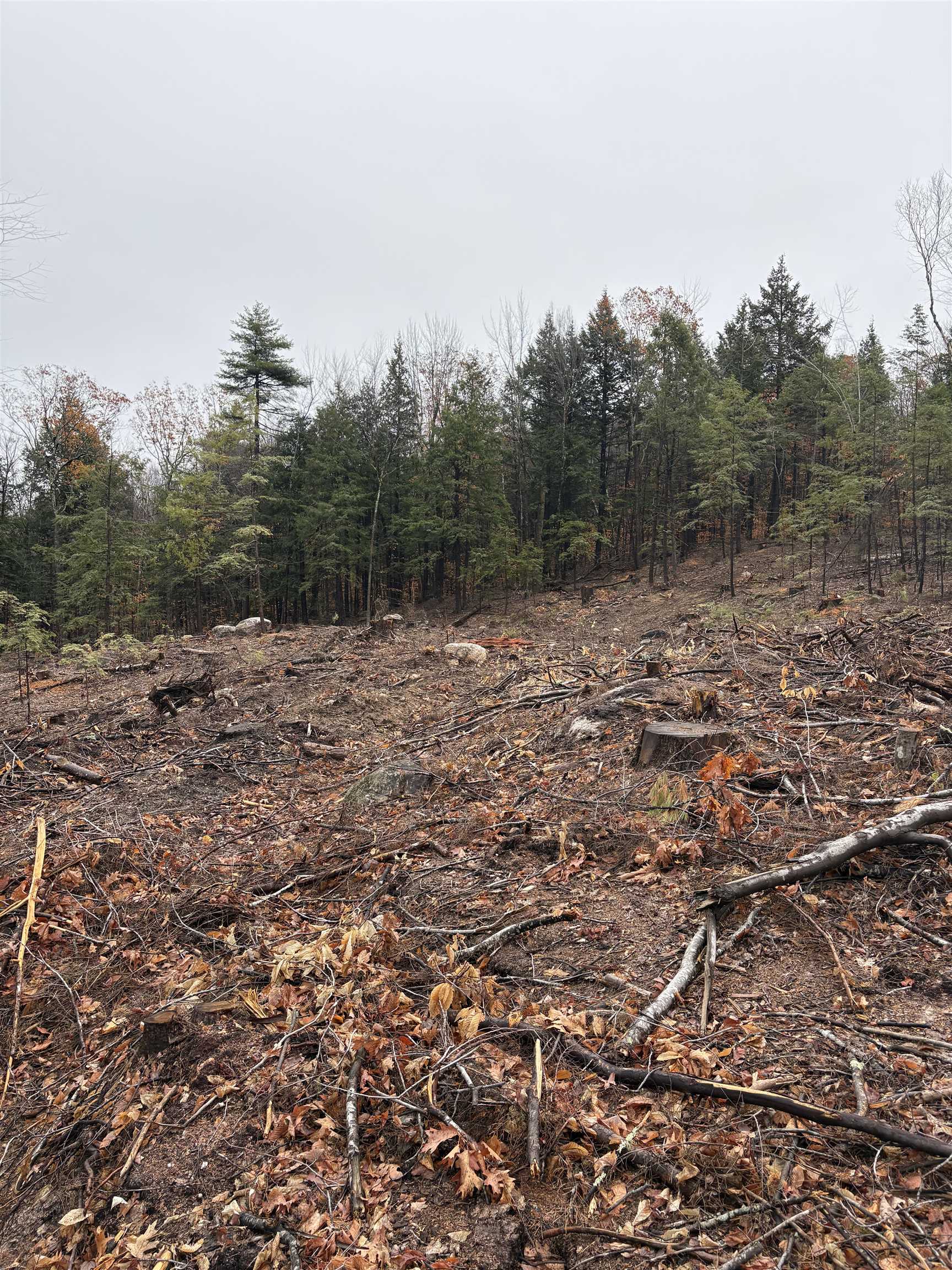 Homes for sale in Ossipee, NH | 9 Sugarloaf Dr, Ossipee, NH 03814 | MLS# 5069140