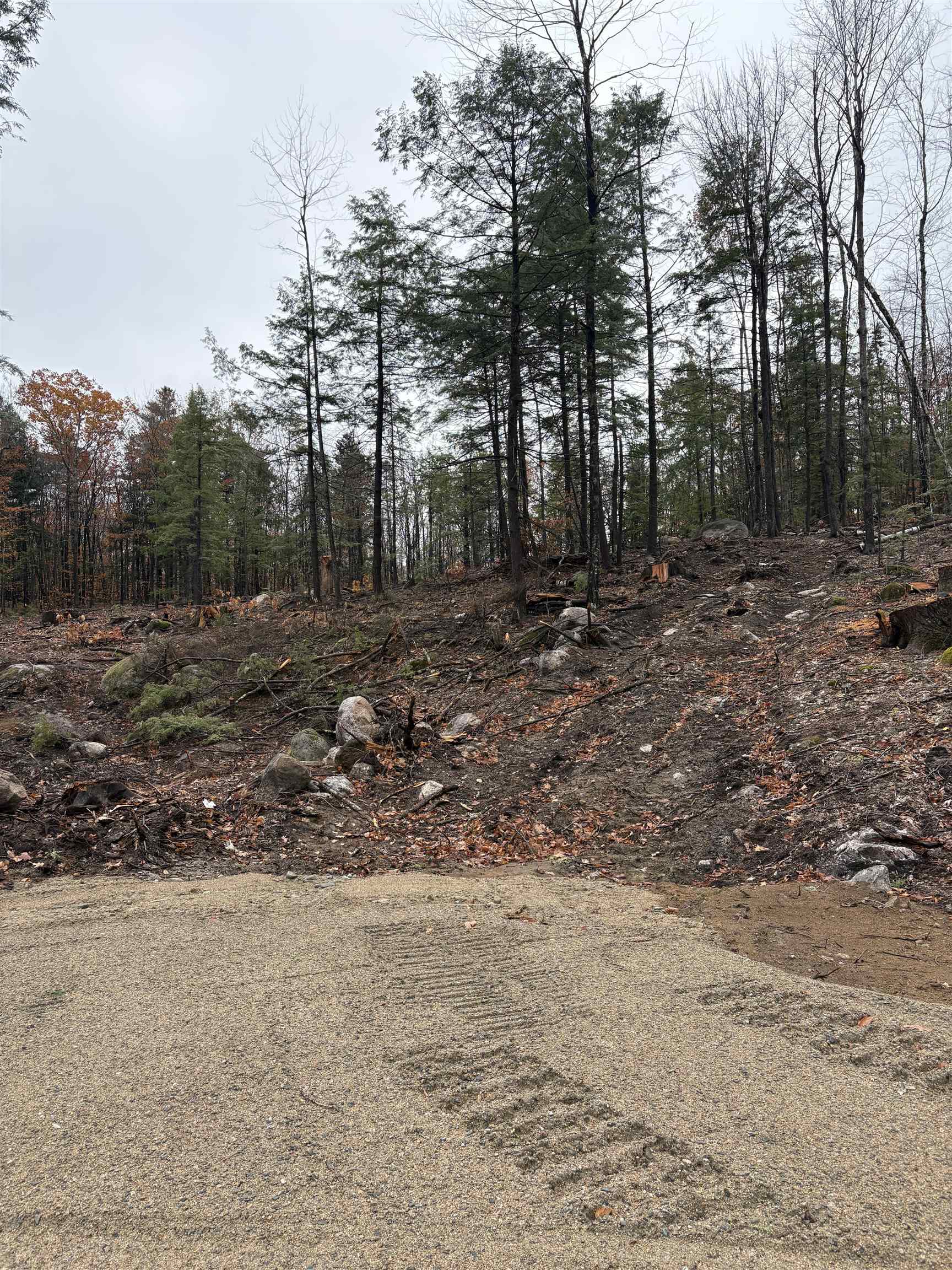 Homes for sale in Ossipee, NH | 12 Sugarloaf Dr, Ossipee, NH 03814 | MLS# 5069146