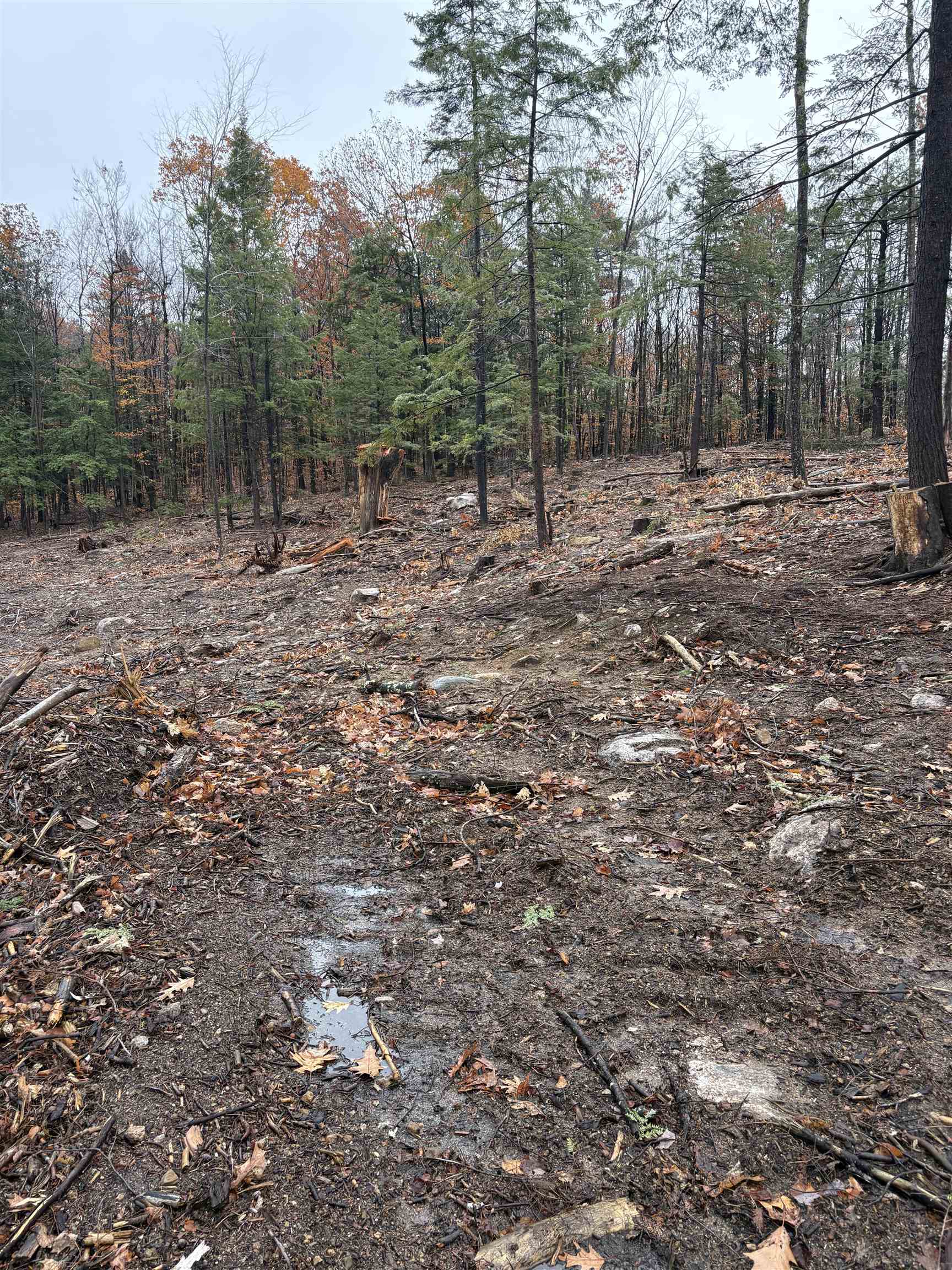 Homes for sale in Ossipee, NH | 12 Sugarloaf Dr, Ossipee, NH 03814 | MLS# 5069146