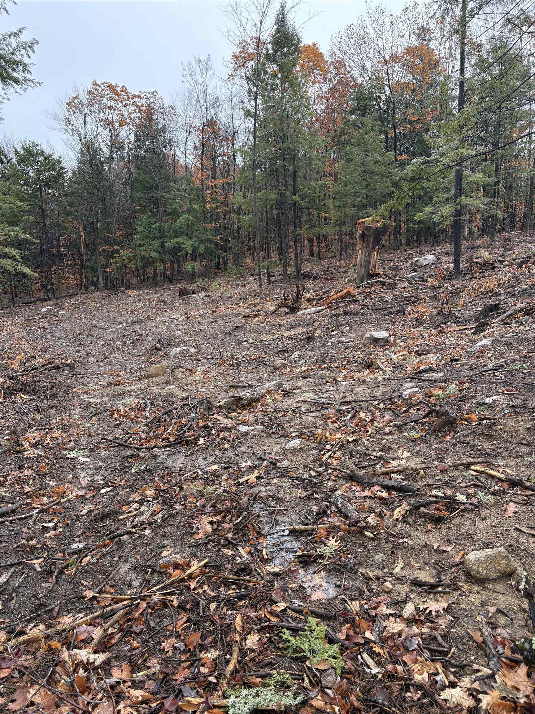 Homes for sale in Ossipee, NH | 12 Sugarloaf Dr, Ossipee, NH 03814 | MLS# 5069146