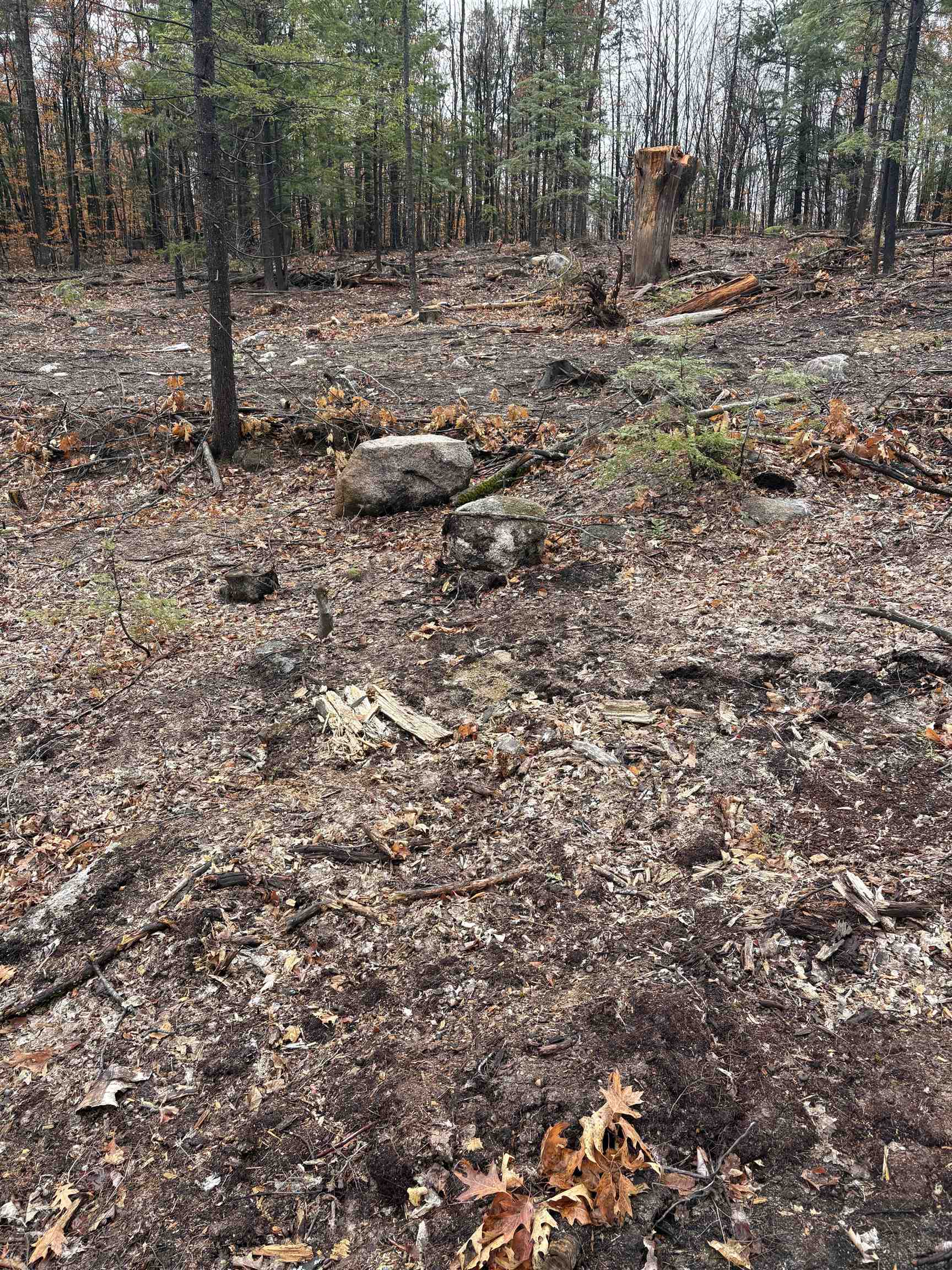 Homes for sale in Ossipee, NH | 12 Sugarloaf Dr, Ossipee, NH 03814 | MLS# 5069146