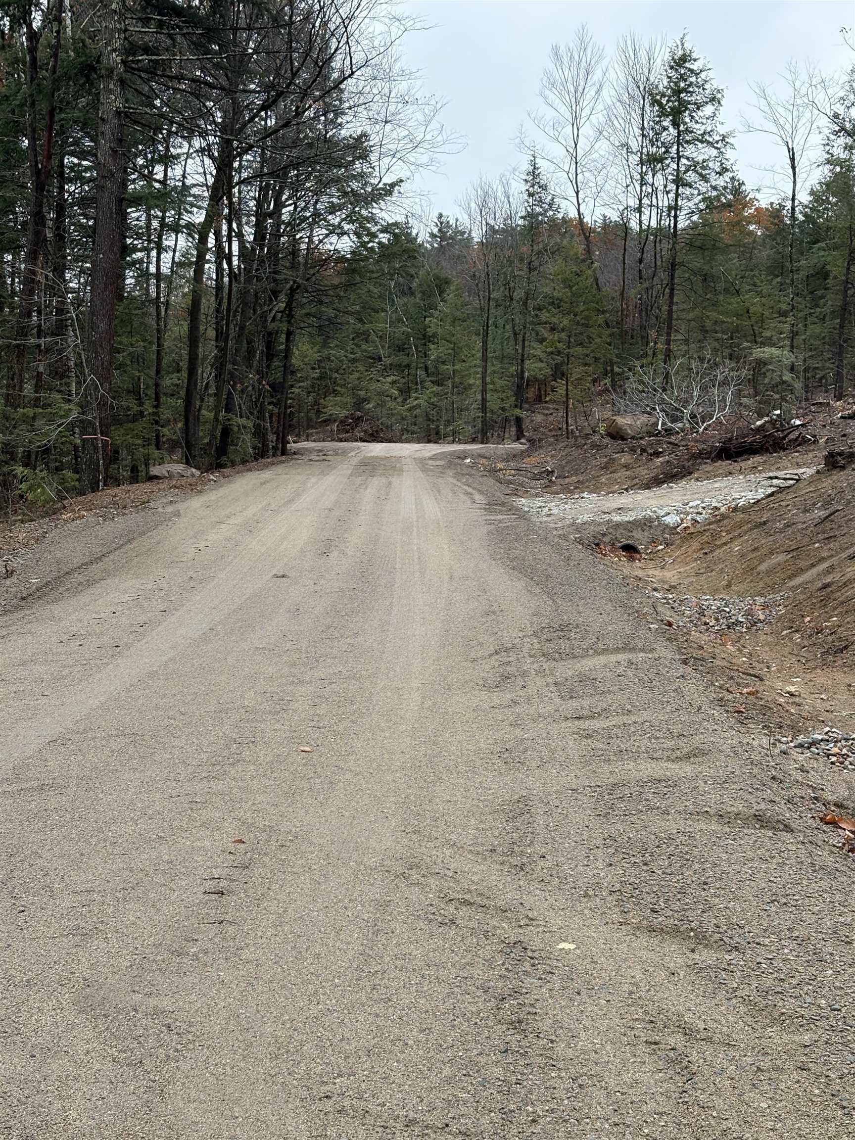 MLS #5069146 image #6