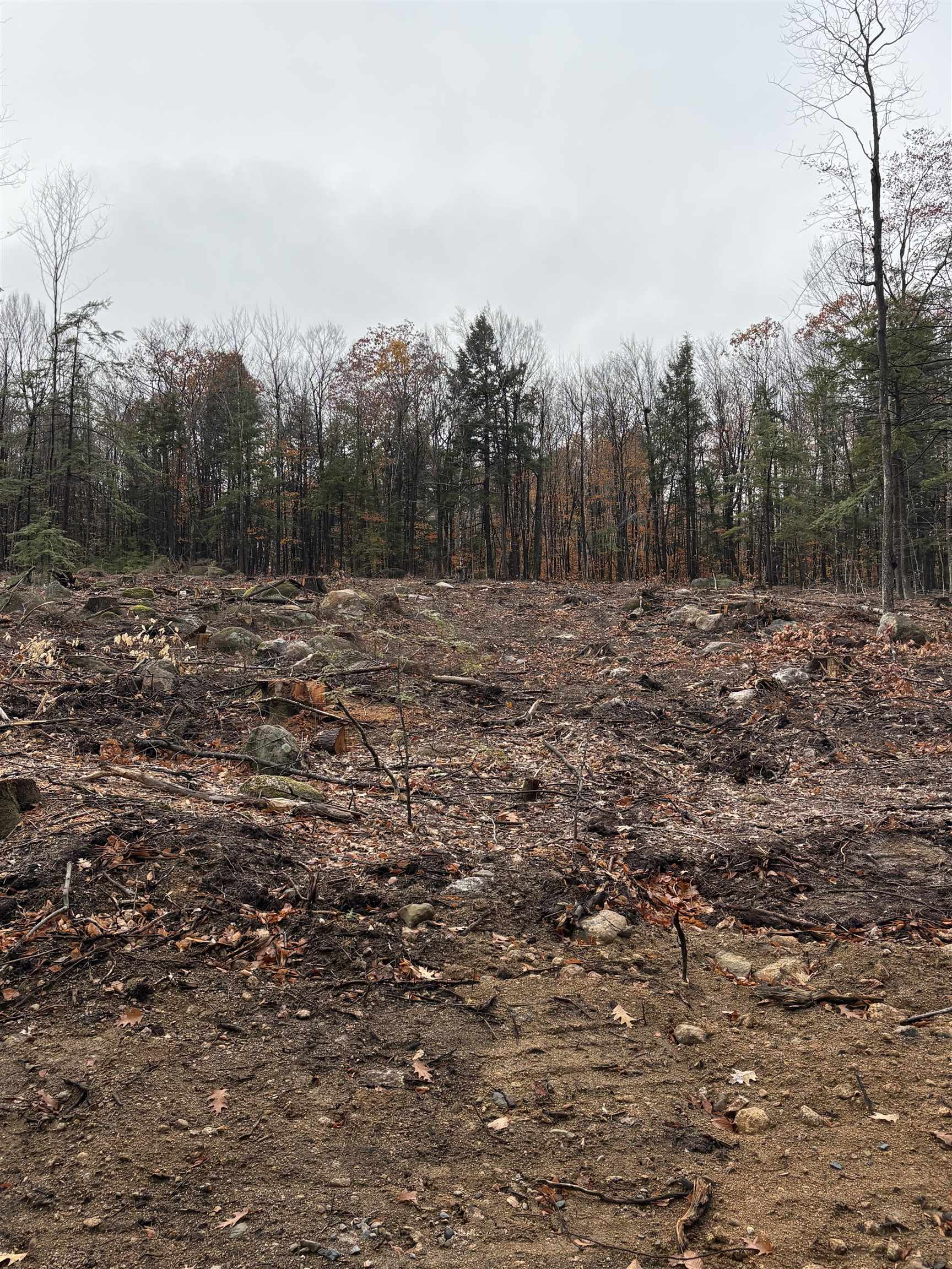 Homes for sale in Ossipee, NH | 8 Sugarloaf Dr, Ossipee, NH 03814 | MLS# 5069152