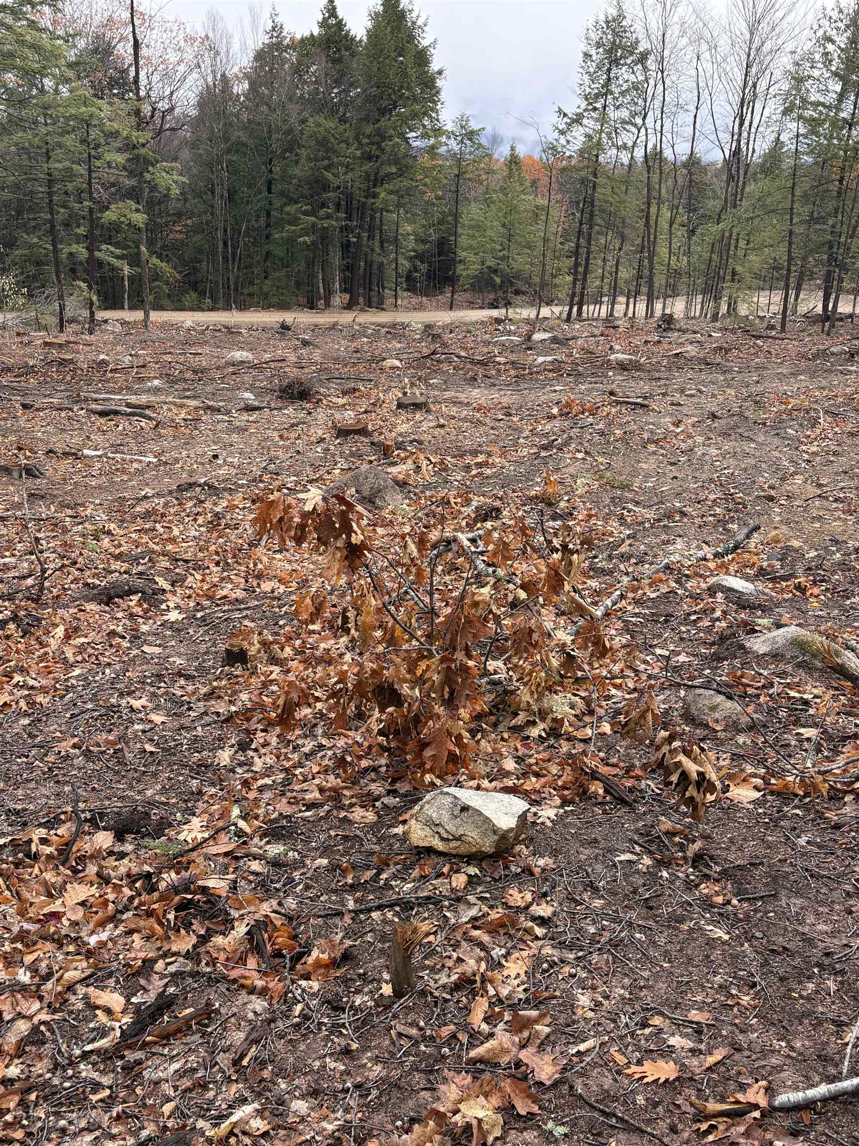 Homes for sale in Ossipee, NH | 8 Sugarloaf Dr, Ossipee, NH 03814 | MLS# 5069152