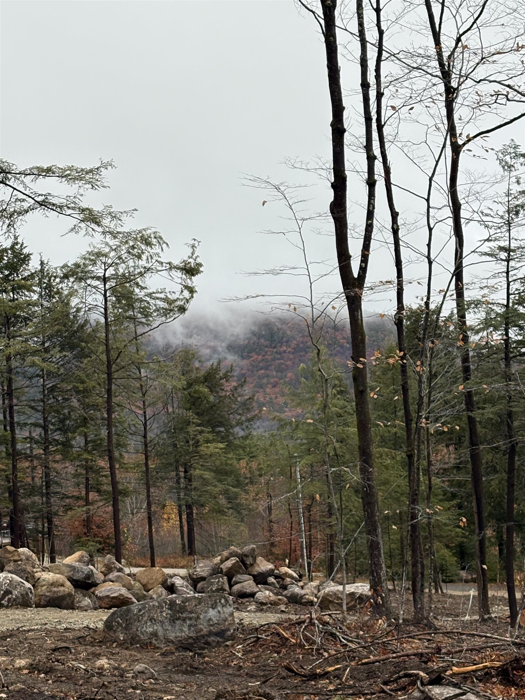 Homes for sale in Ossipee, NH | 8 Sugarloaf Dr, Ossipee, NH 03814 | MLS# 5069152