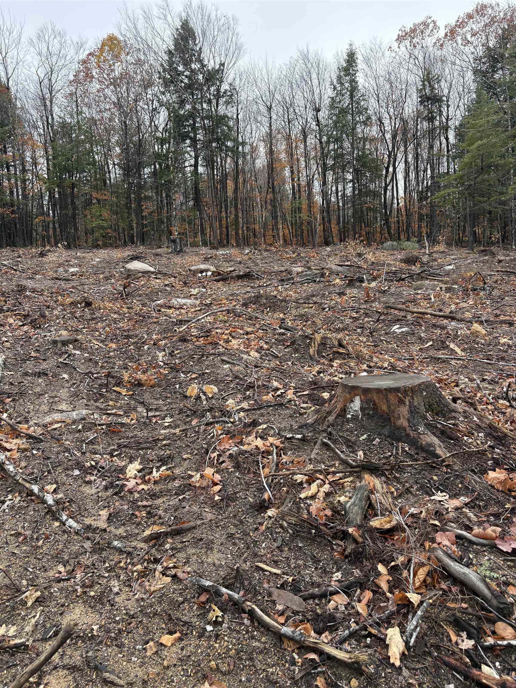 MLS #5069152 image #6