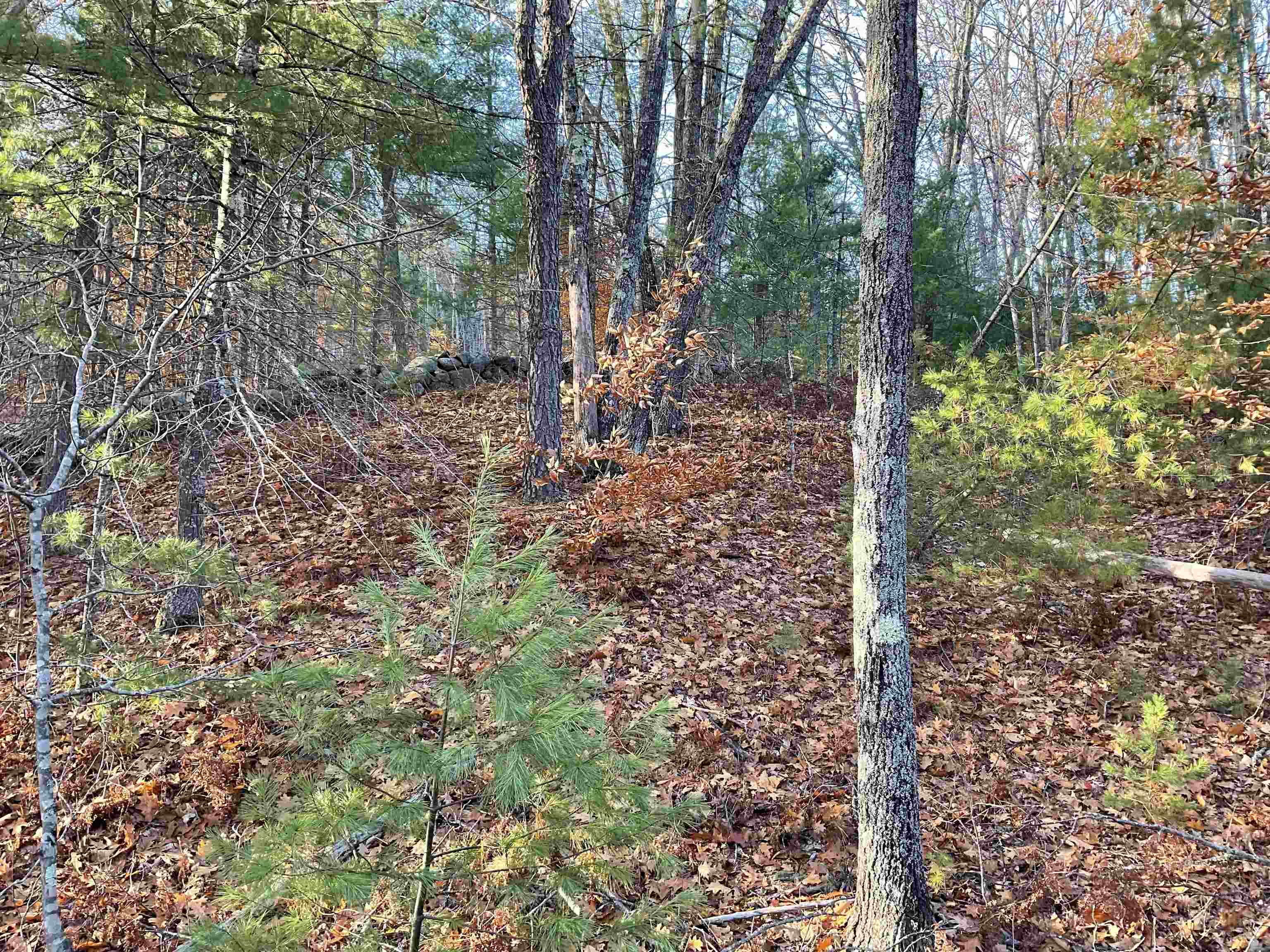 Homes for sale in Brownfield, ME | 29C Shepherd River Rd, Brownfield, ME 04010 | MLS# 5069203