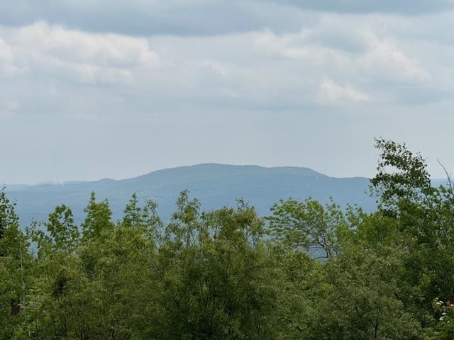 Homes for sale in Peru, VT | 146 Ridges Way #1200-1, Peru, VT 05161 | MLS# 5069206