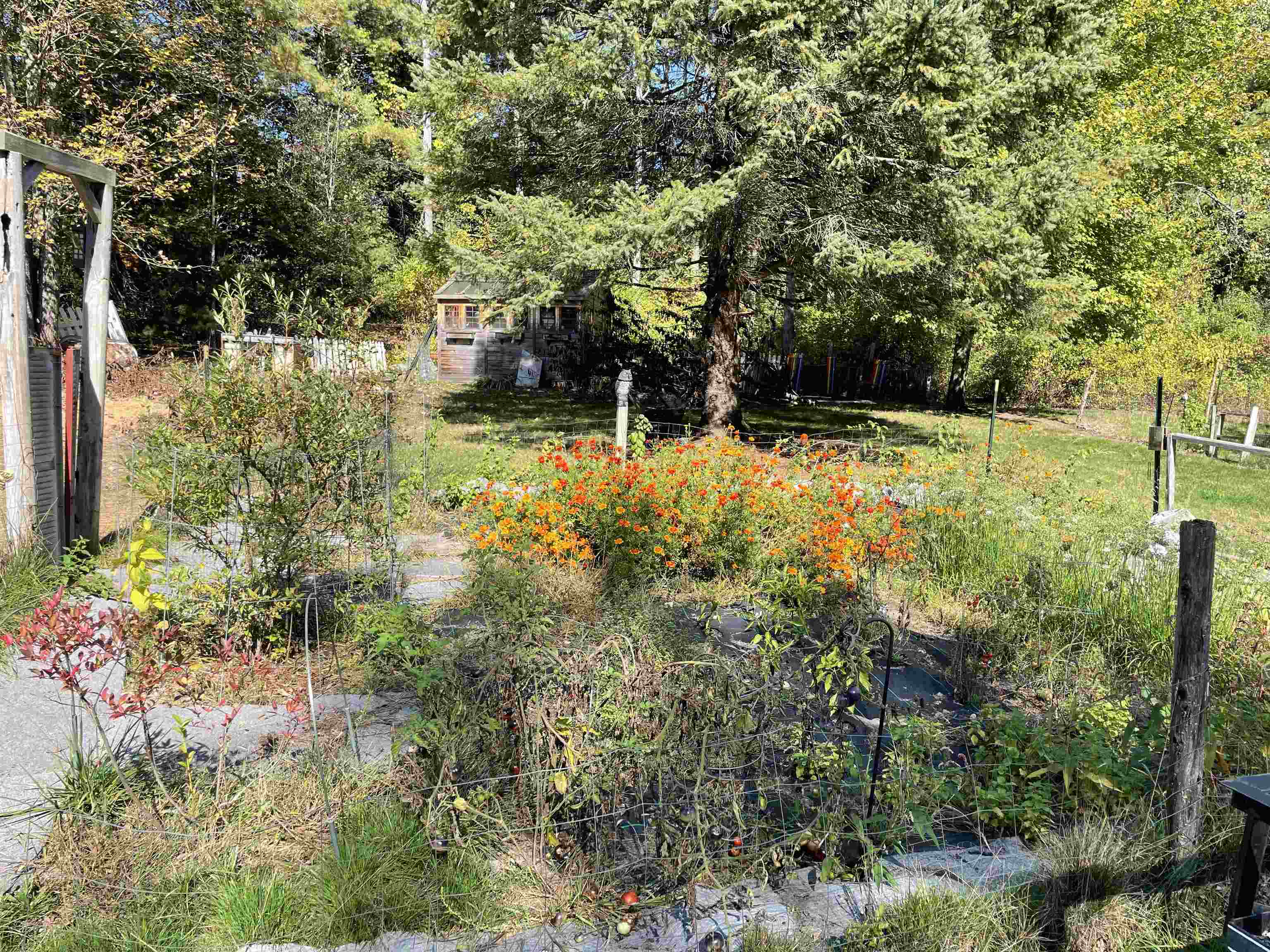 MLS #5069207 image #35