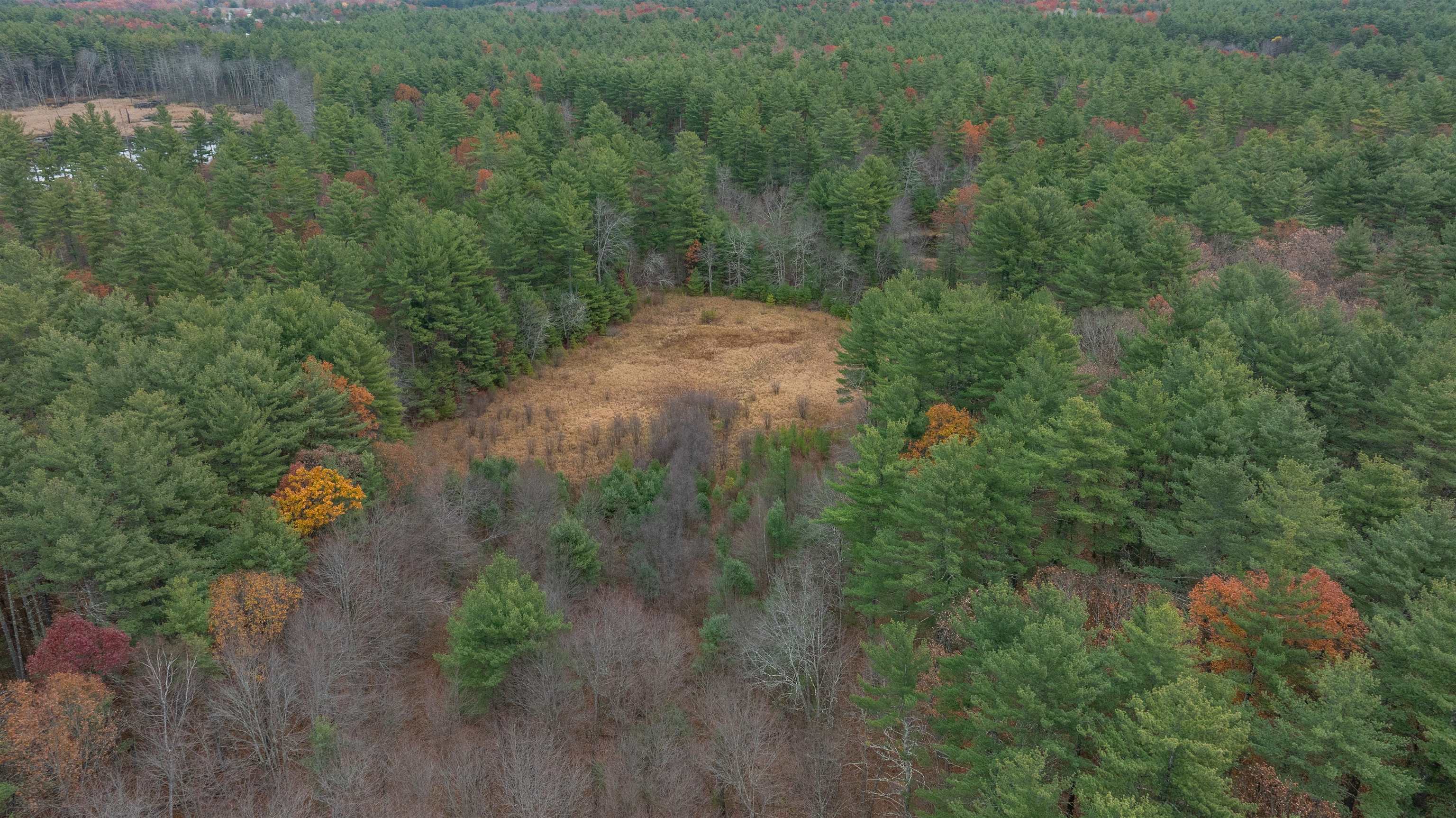 MLS #5069207 image #4