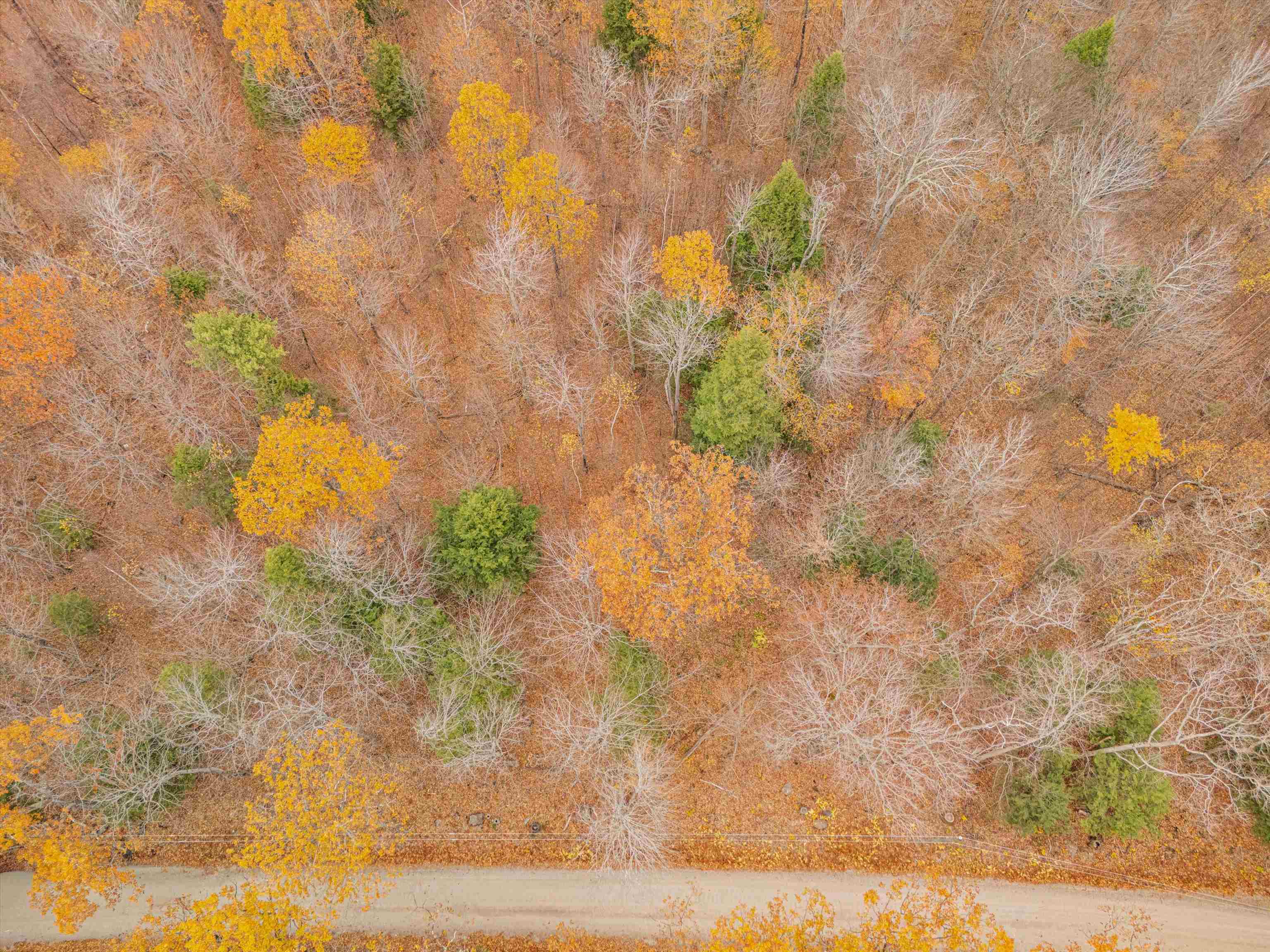 Homes for sale in Francestown, NH | 0 Bible Hill Ext, Francestown, NH 03043 | MLS# 5069238