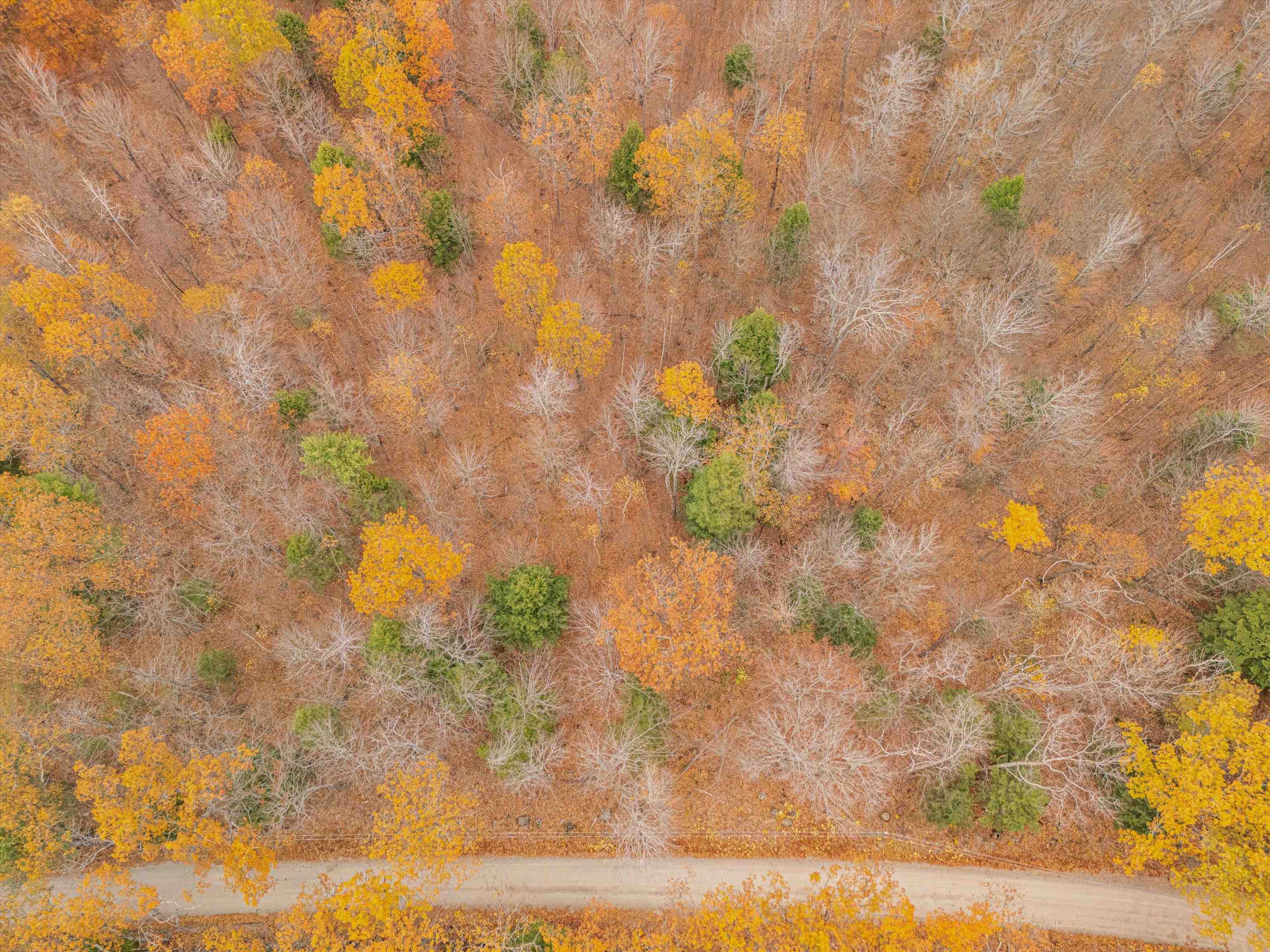 Homes for sale in Francestown, NH | 0 Bible Hill Ext, Francestown, NH 03043 | MLS# 5069238