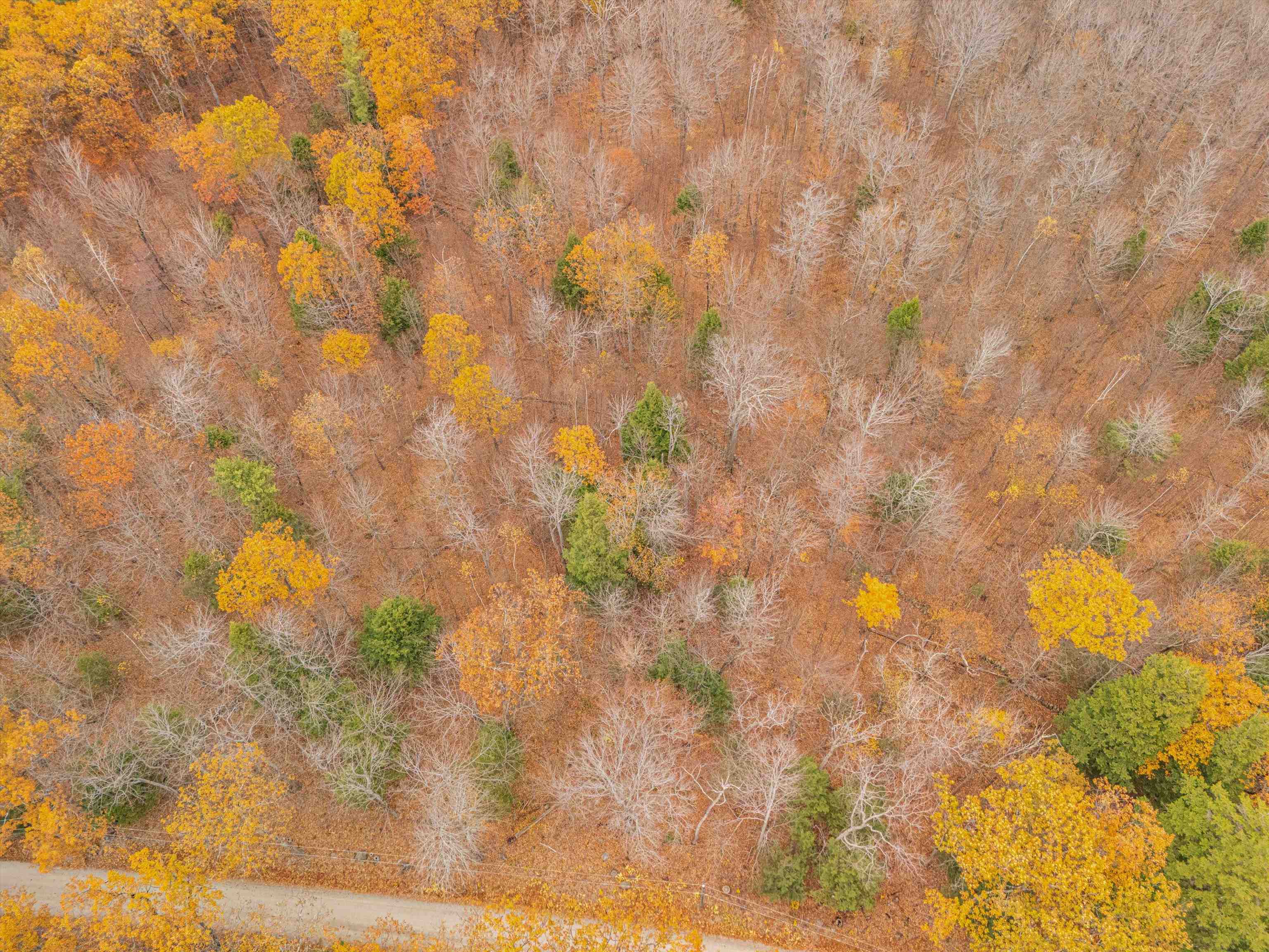 Homes for sale in Francestown, NH | 0 Bible Hill Ext, Francestown, NH 03043 | MLS# 5069238