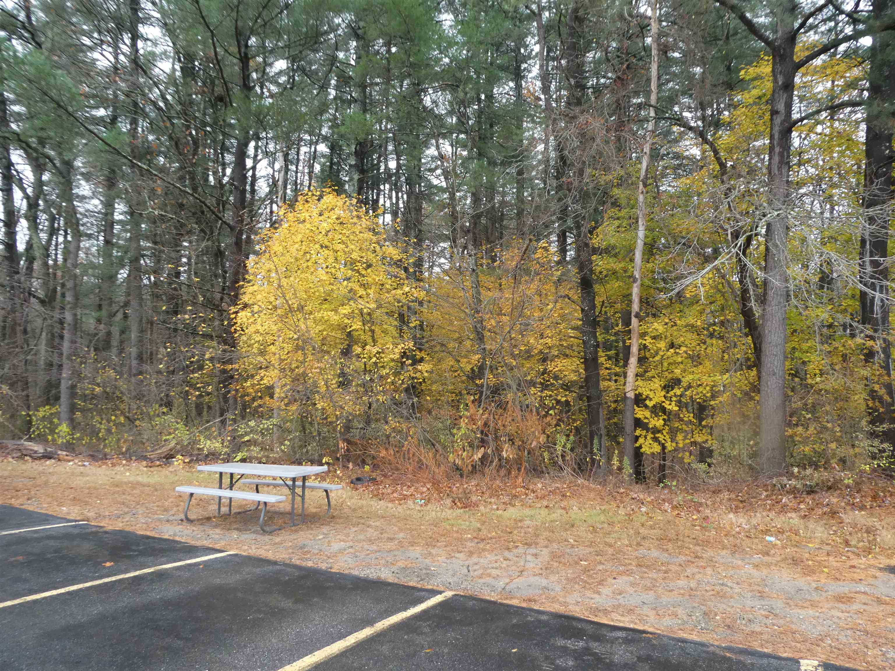 Homes for sale in Manchester, NH | 127 English Village Rd #302, Manchester, NH 03102 | MLS# 5069287