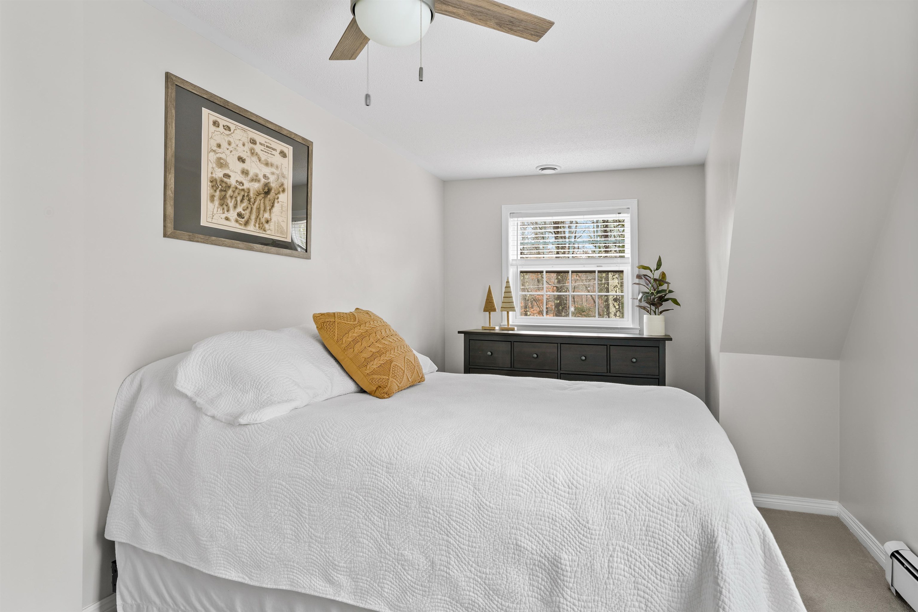 MLS #5069291 image #27