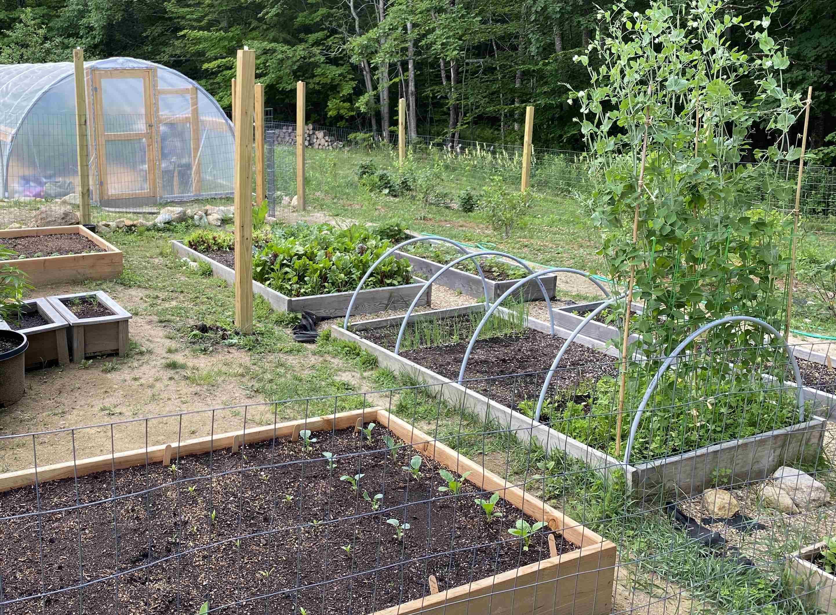 MLS #5069335 image #22