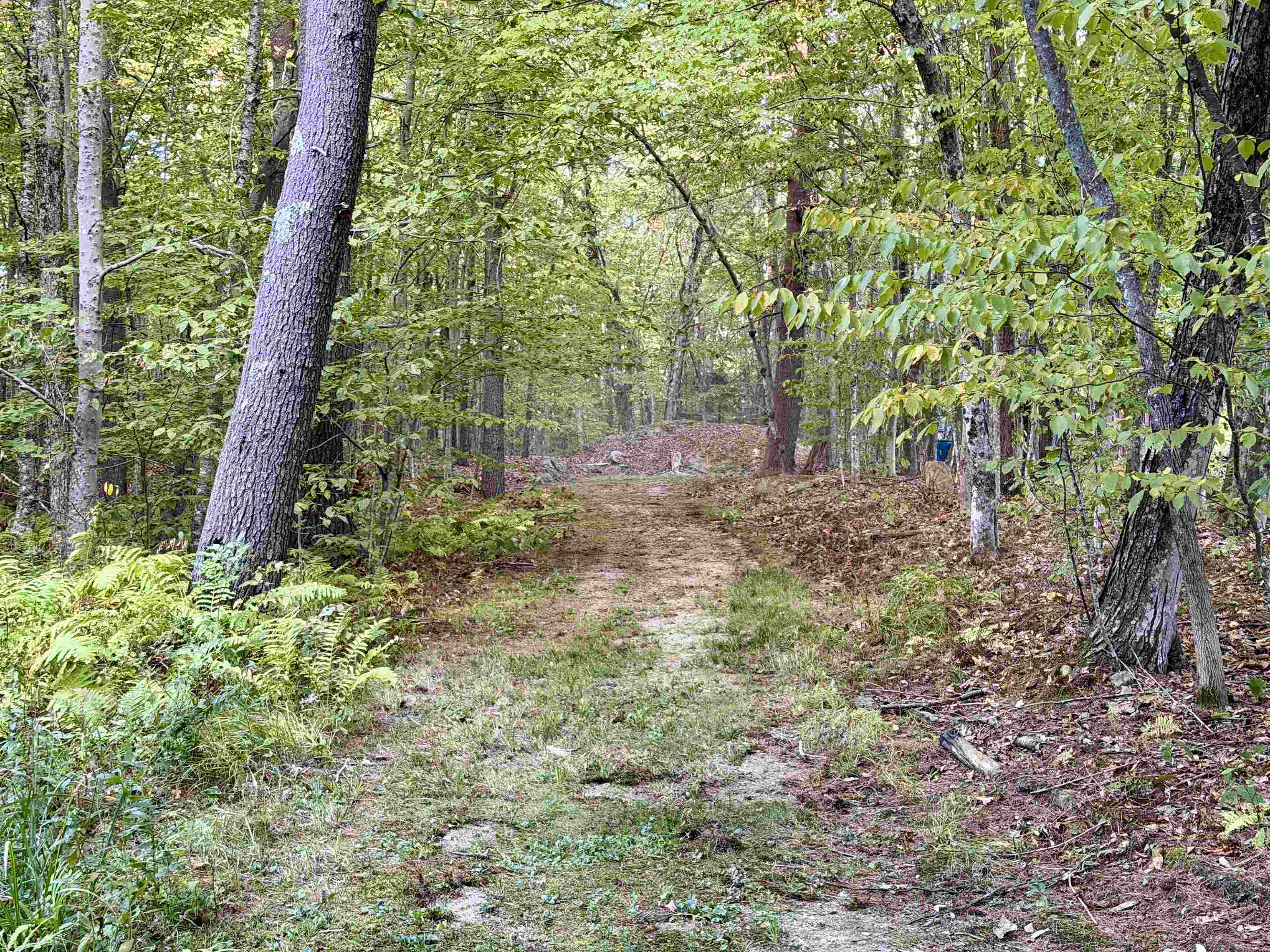 MLS #5069335 image #25