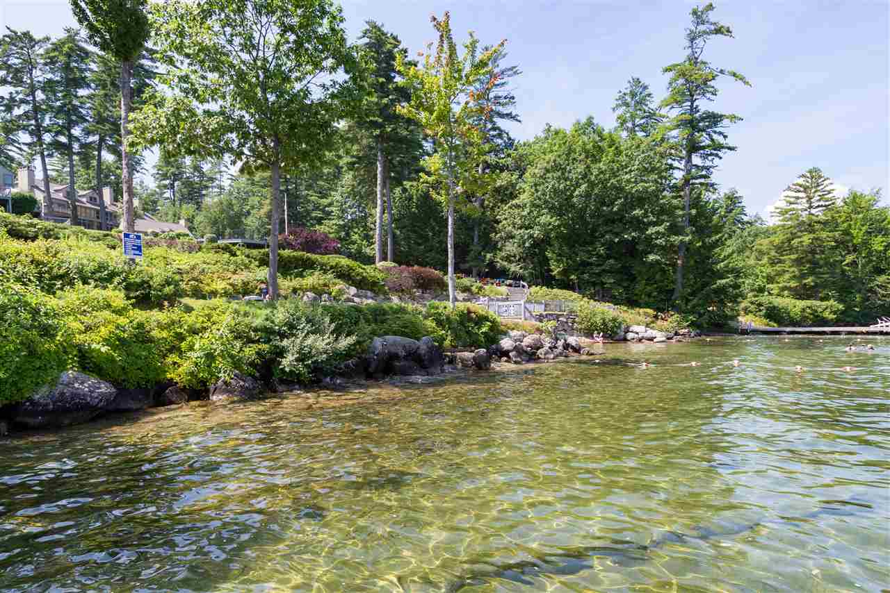 MLS #5069408 image #42