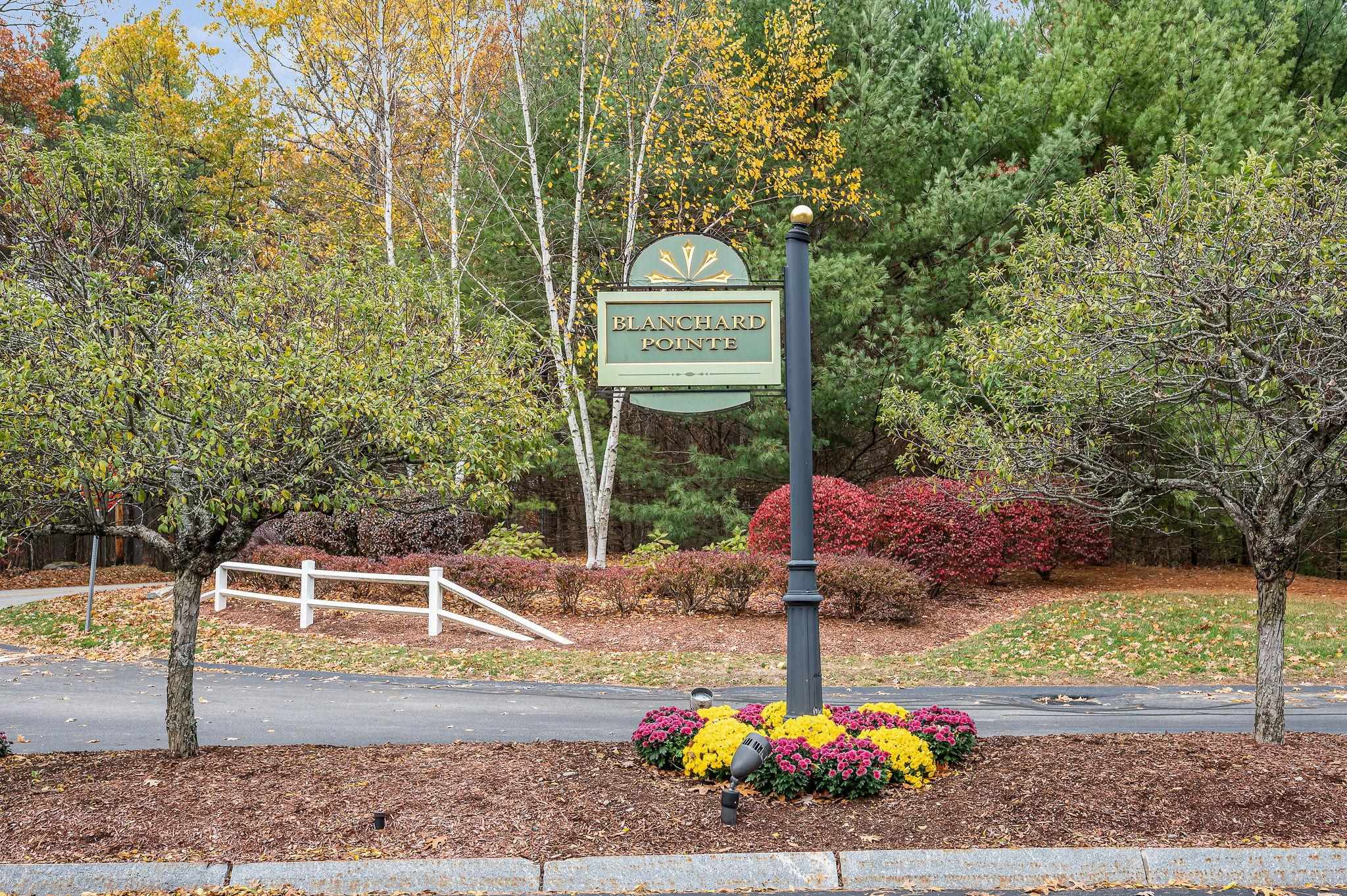 MLS #5069414 image #40