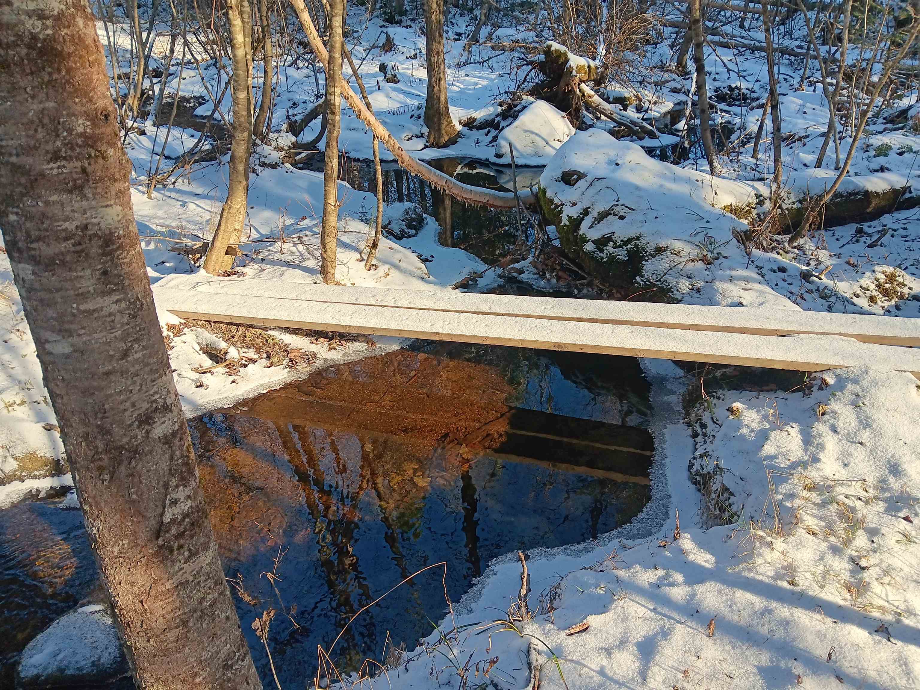 Homes for sale in Maidstone, VT | 5108 North Rd, Maidstone, VT 05905 | MLS# 5069431