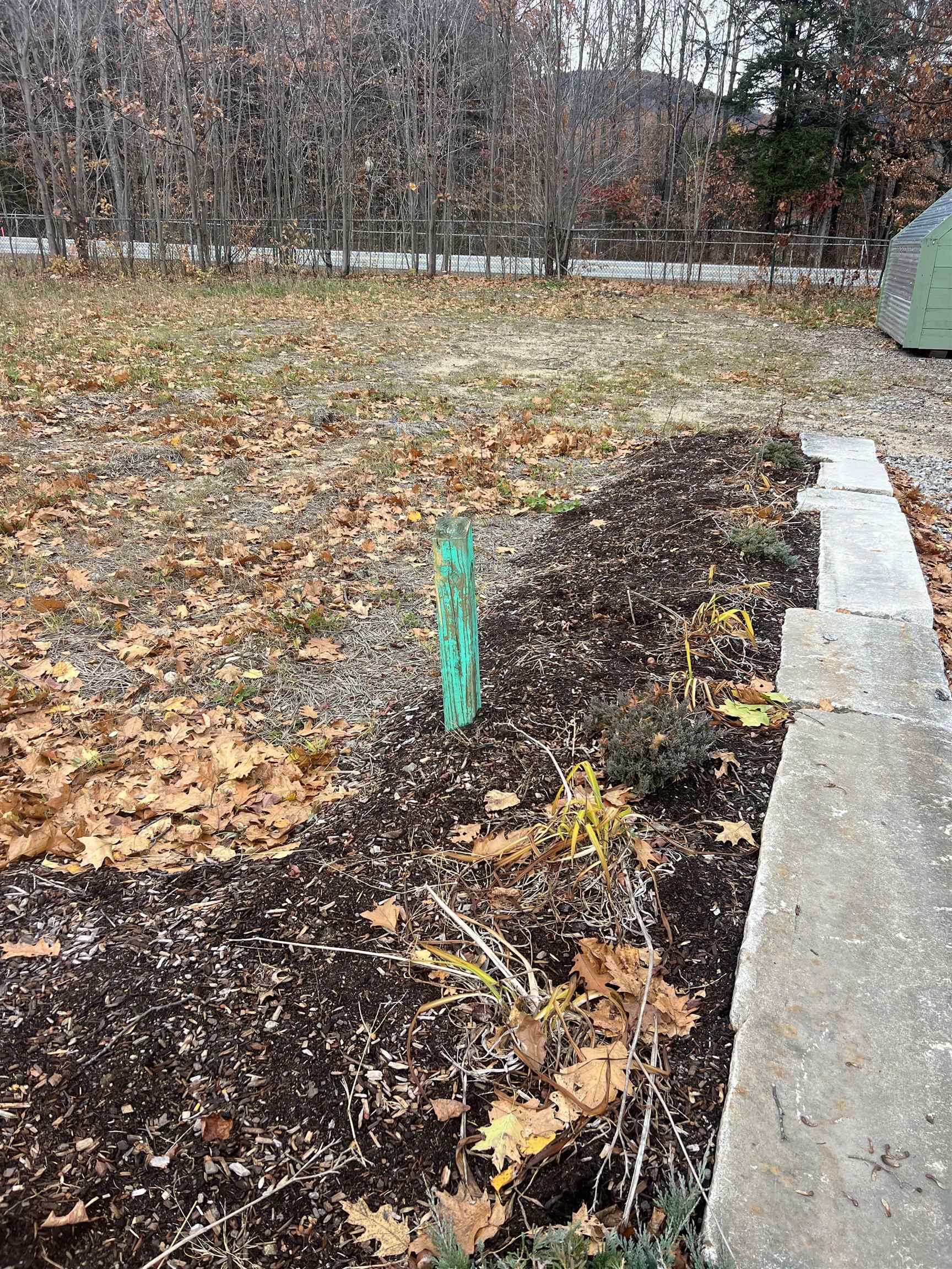 MLS #5069447 image #6