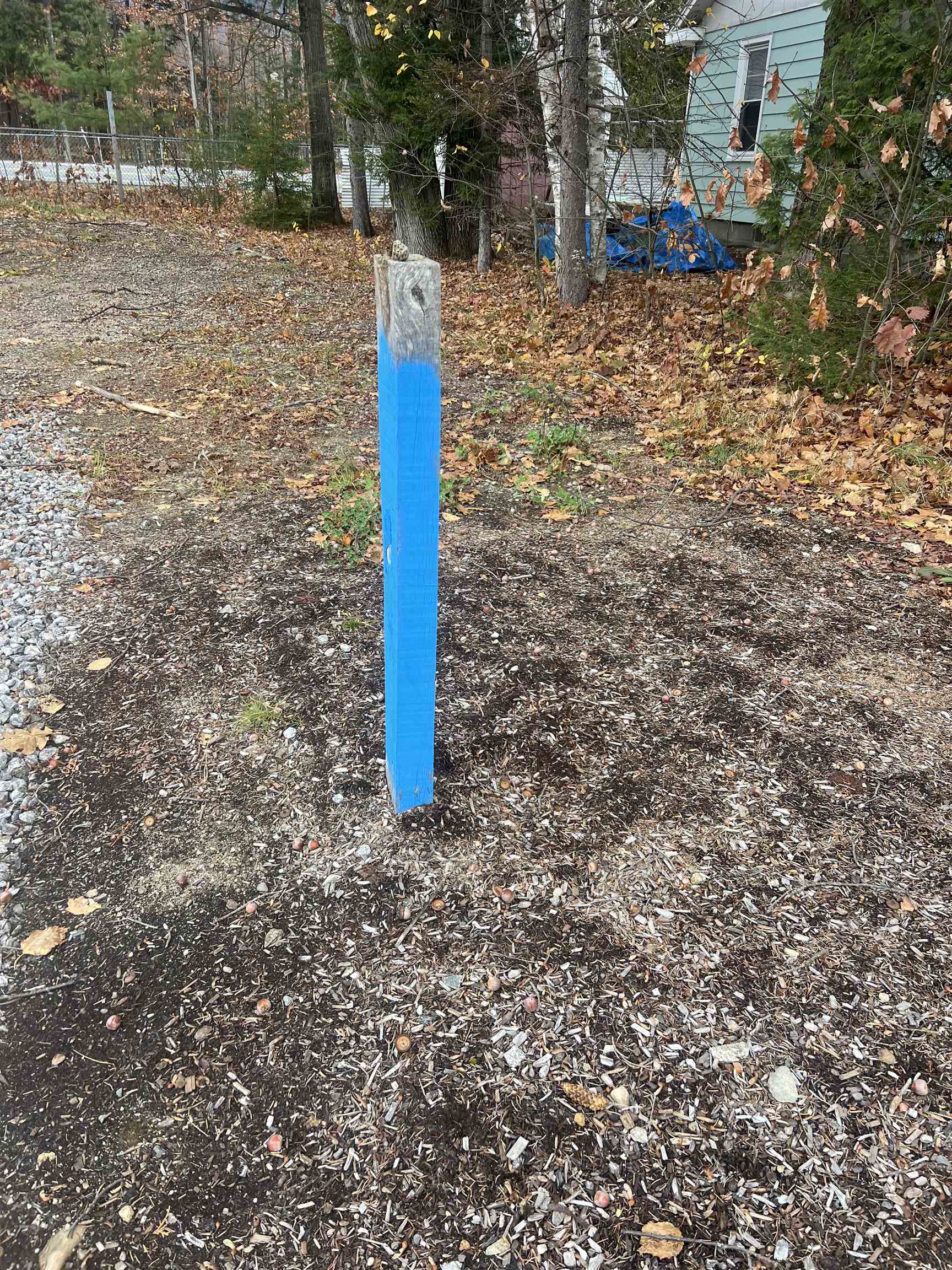 MLS #5069447 image #7