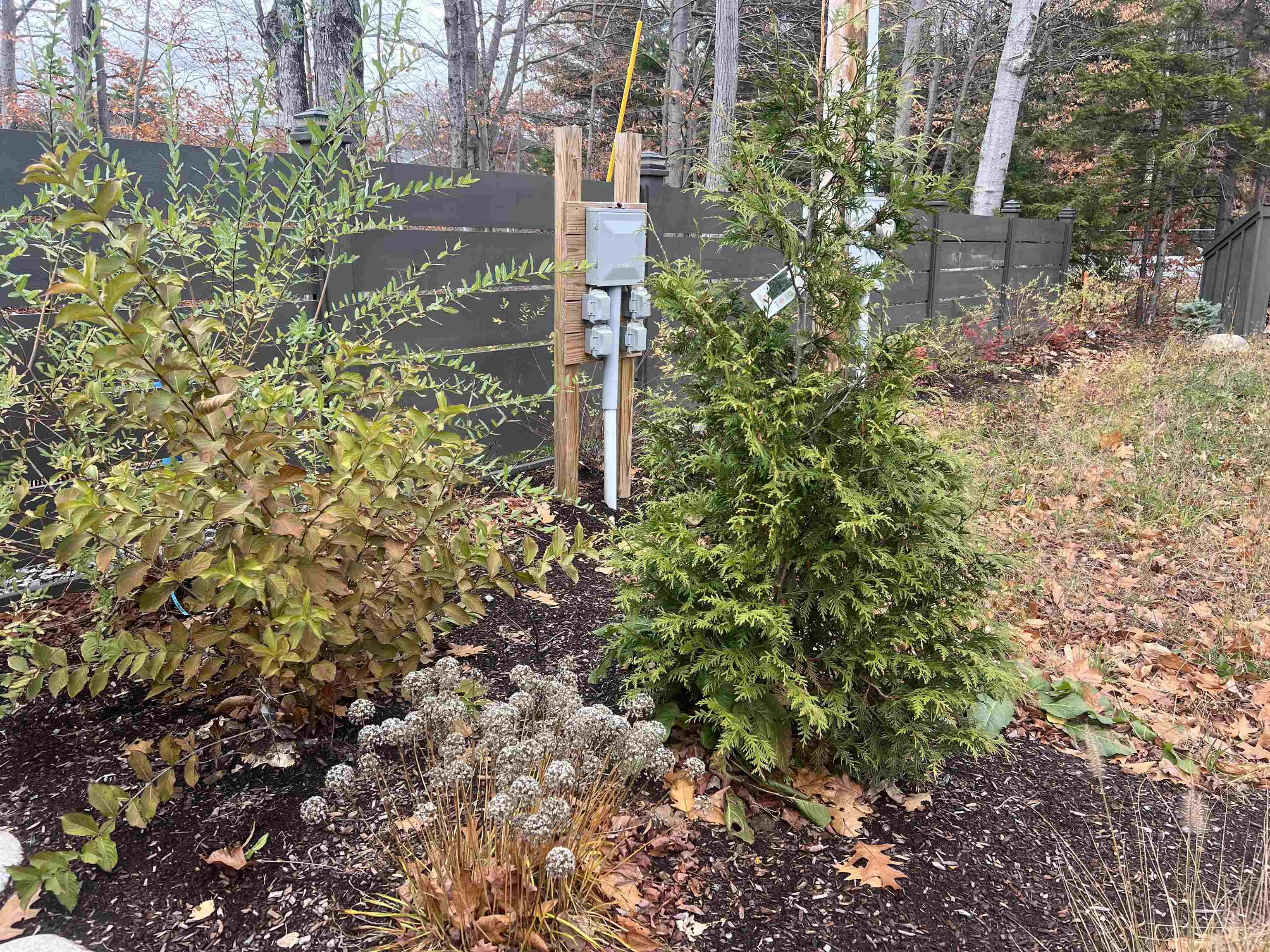 MLS #5069447 image #9