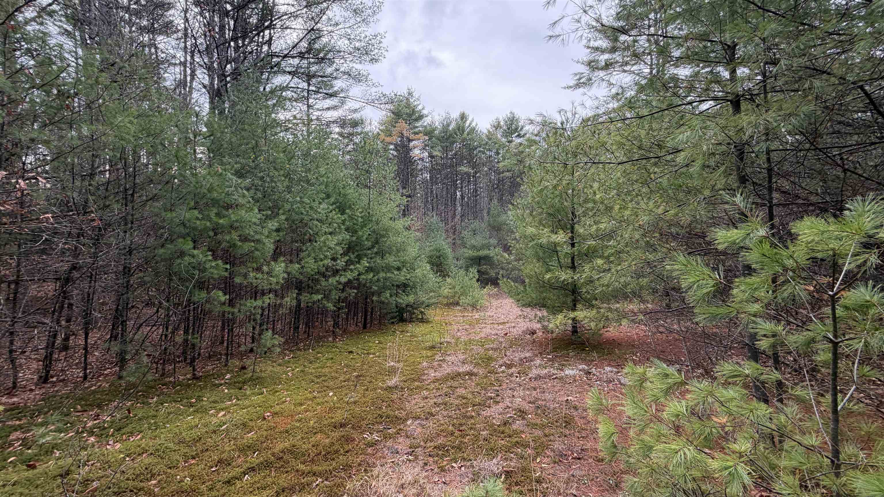 Homes for sale in Webster, NH | 00 Deer Meadow Rd, Webster, NH 03303 | MLS# 5069463