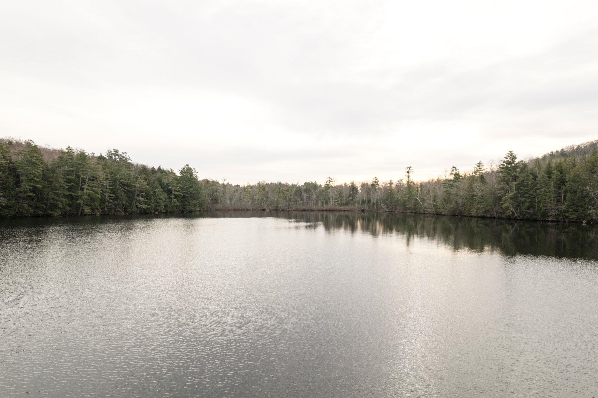 MLS #5069424 image #0