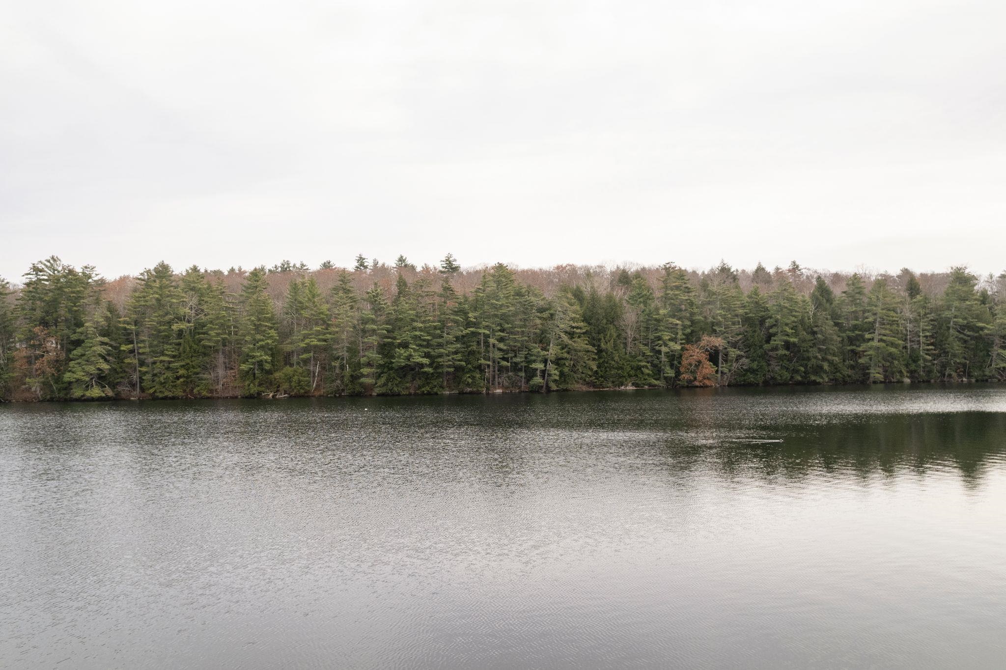 MLS #5069578 image #16