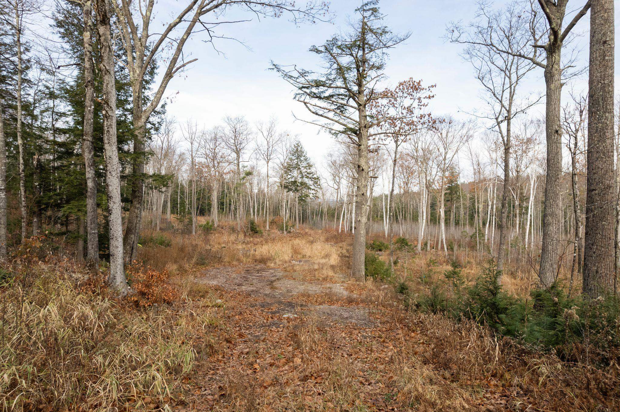 MLS #5069582 image #19