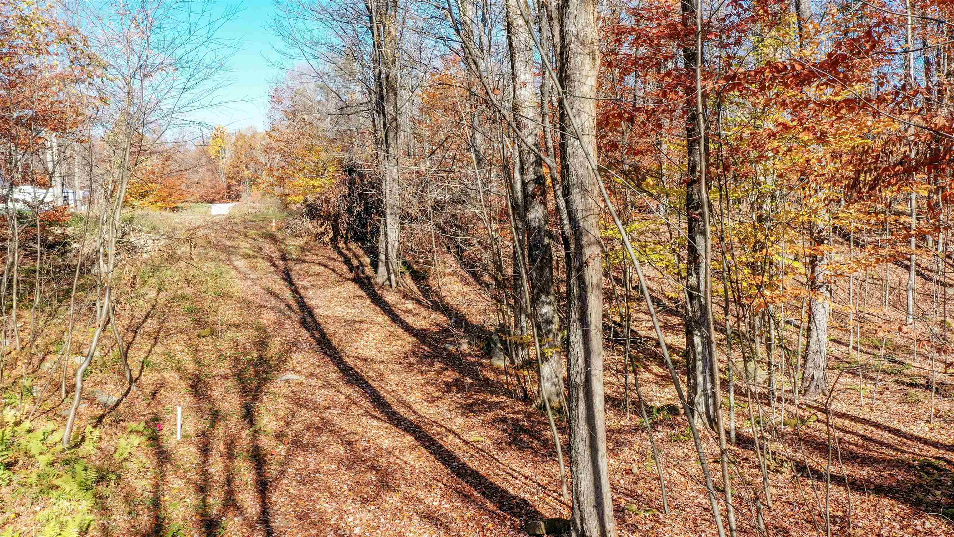 Homes for sale in Chittenden, VT | 00 Lower Middle Rd, Chittenden, VT 05763 | MLS# 5069604