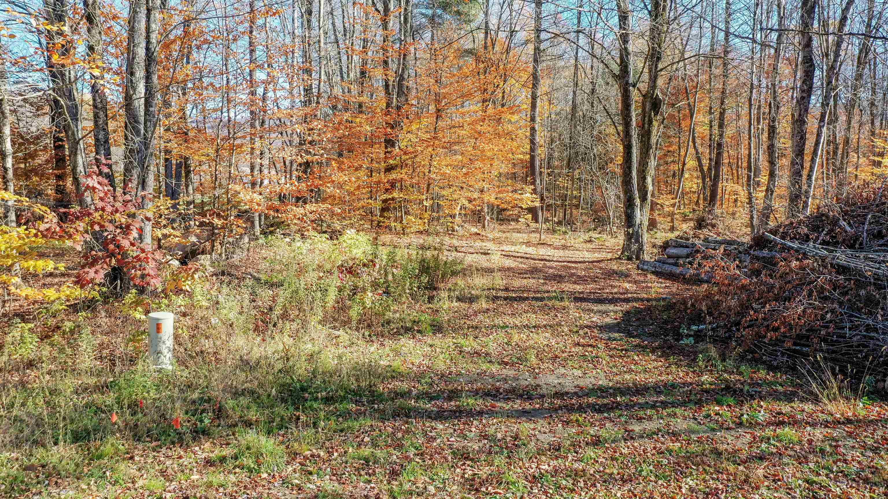 Homes for sale in Chittenden, VT | 00 Lower Middle Rd, Chittenden, VT 05763 | MLS# 5069604