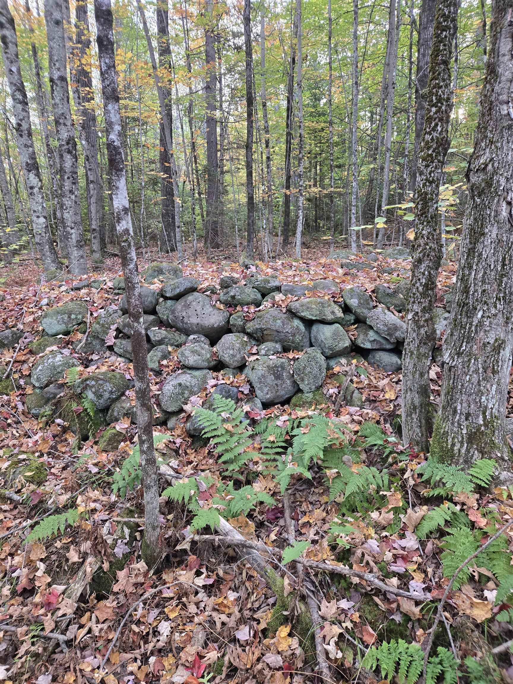 MLS #5069610 image #1