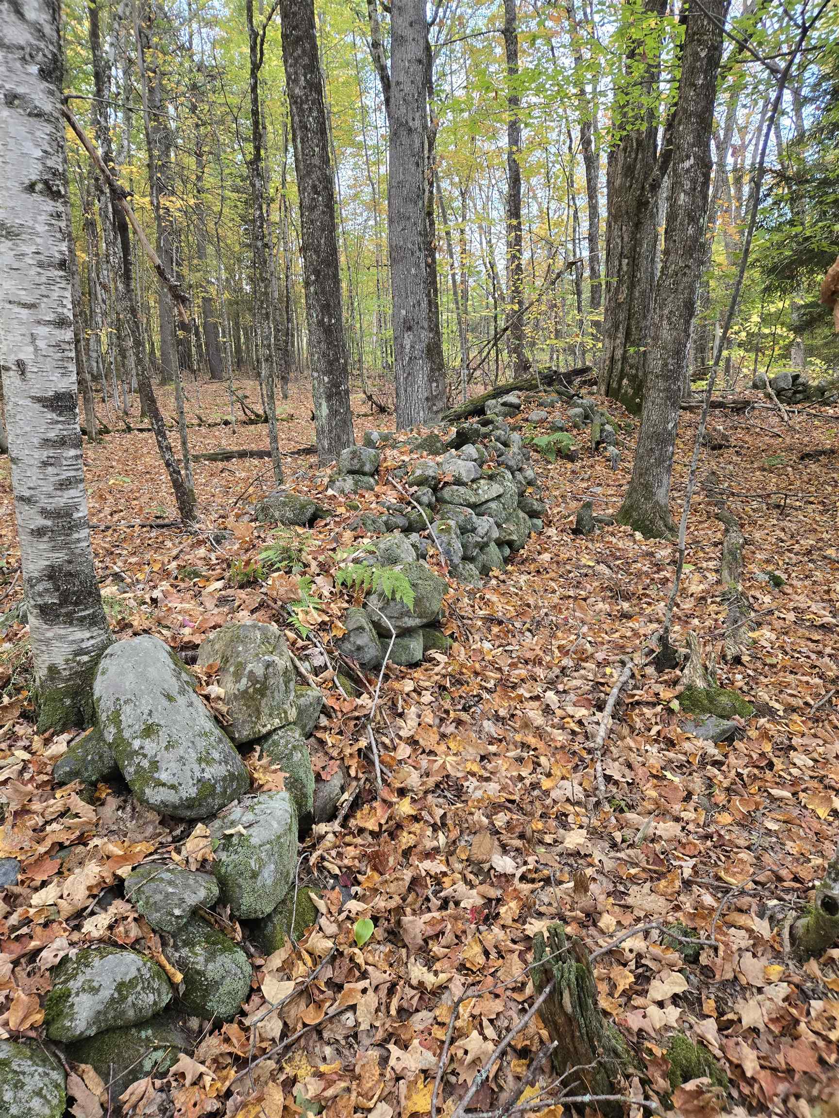 MLS #5069610 image #2