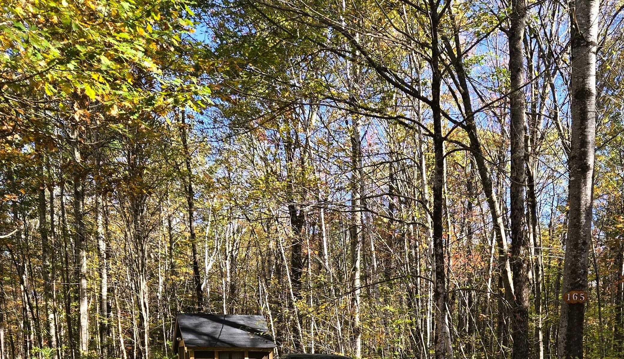 MLS #5069610 image #3