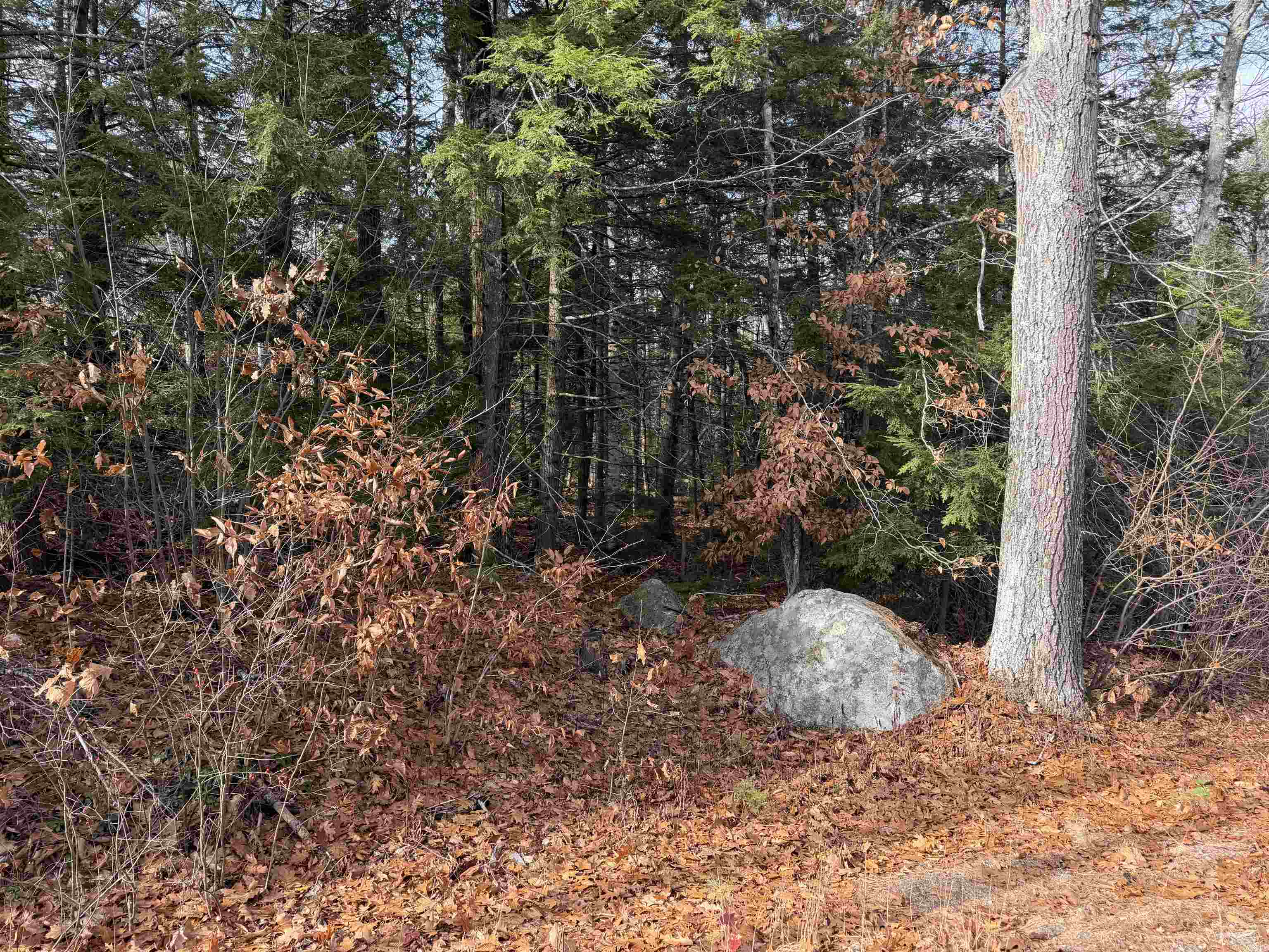 Homes for sale in Milton, NH | Map 29 Lot 5 1 Middleton Rd, Milton, NH 03851 | MLS# 5069611