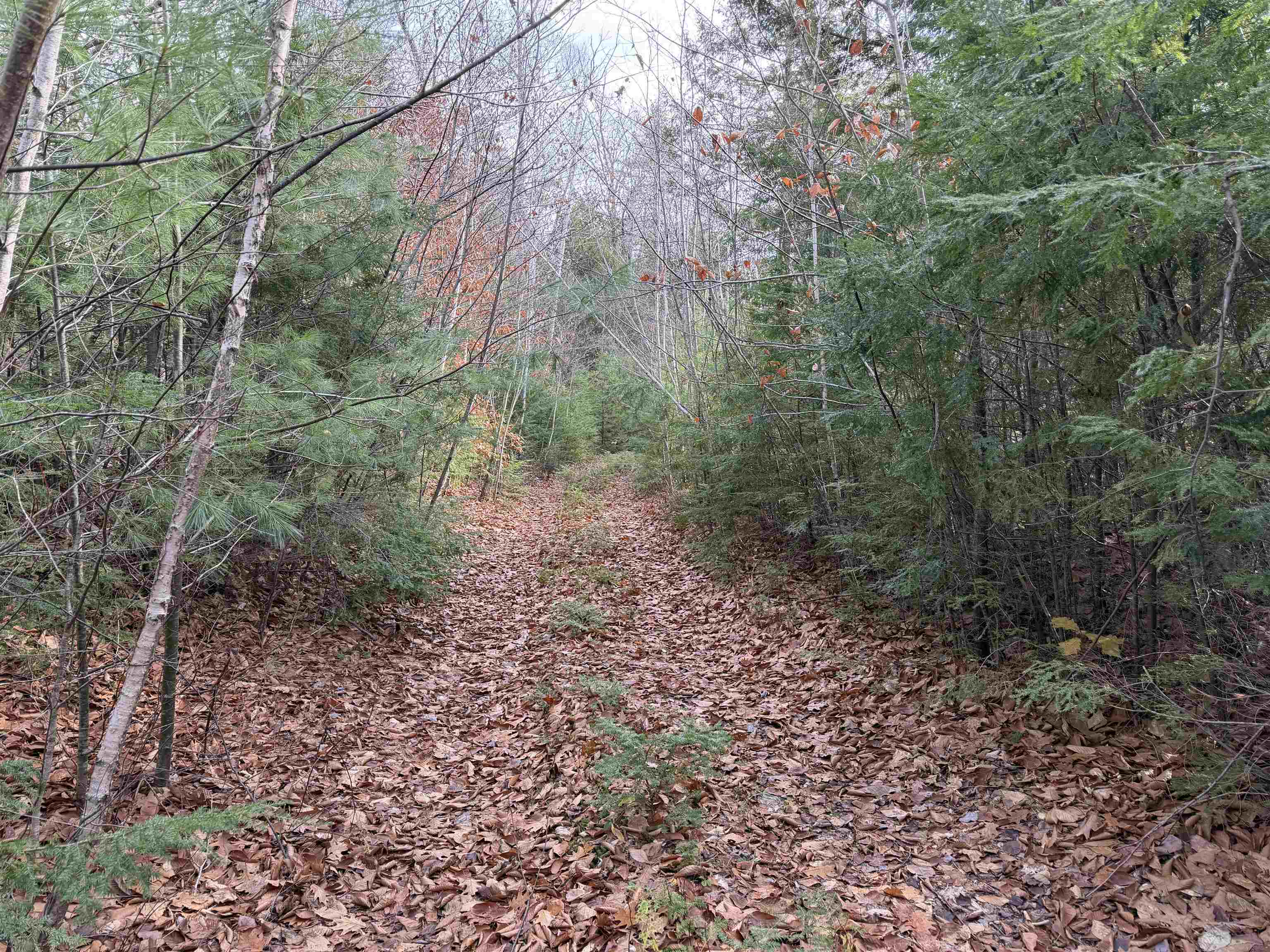 Map 29 Lot 5-1 Middleton Rd, Milton, NH 03851