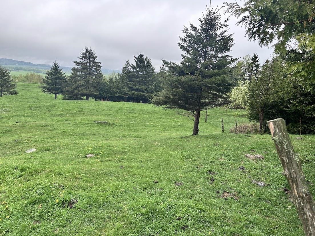 Homes for sale in Derby, VT | 523 Trucott Rd, Derby, VT 05830 | MLS# 5069642