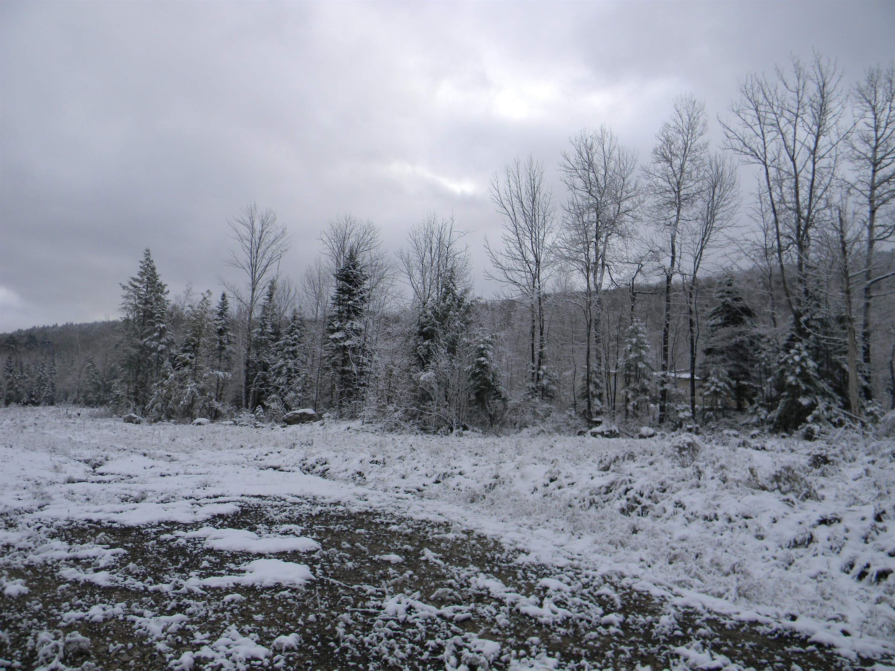 MLS #5069649 image #10