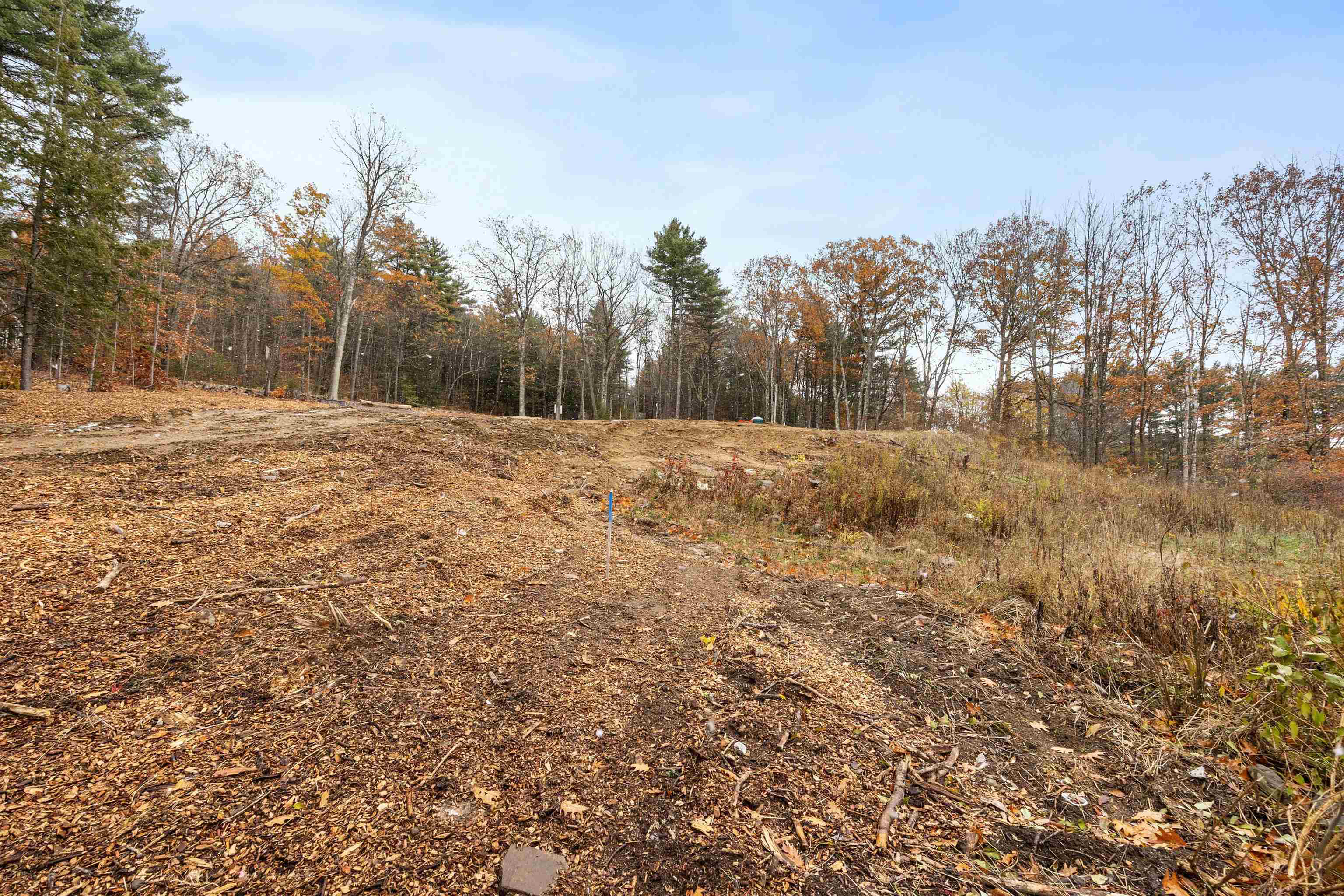 MLS #5069662 image #14