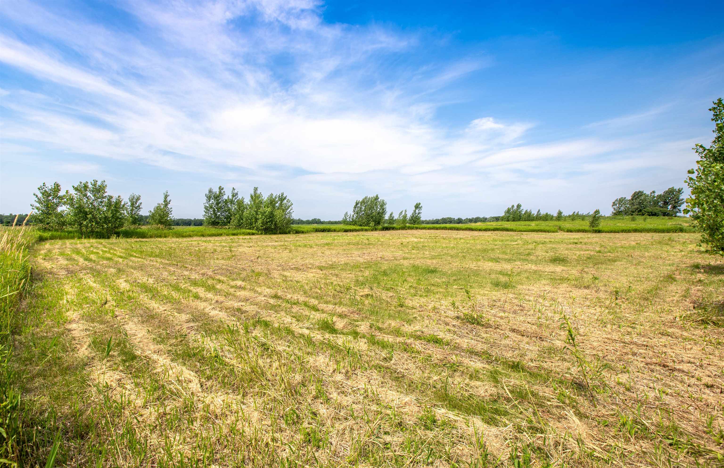   Click for more details  