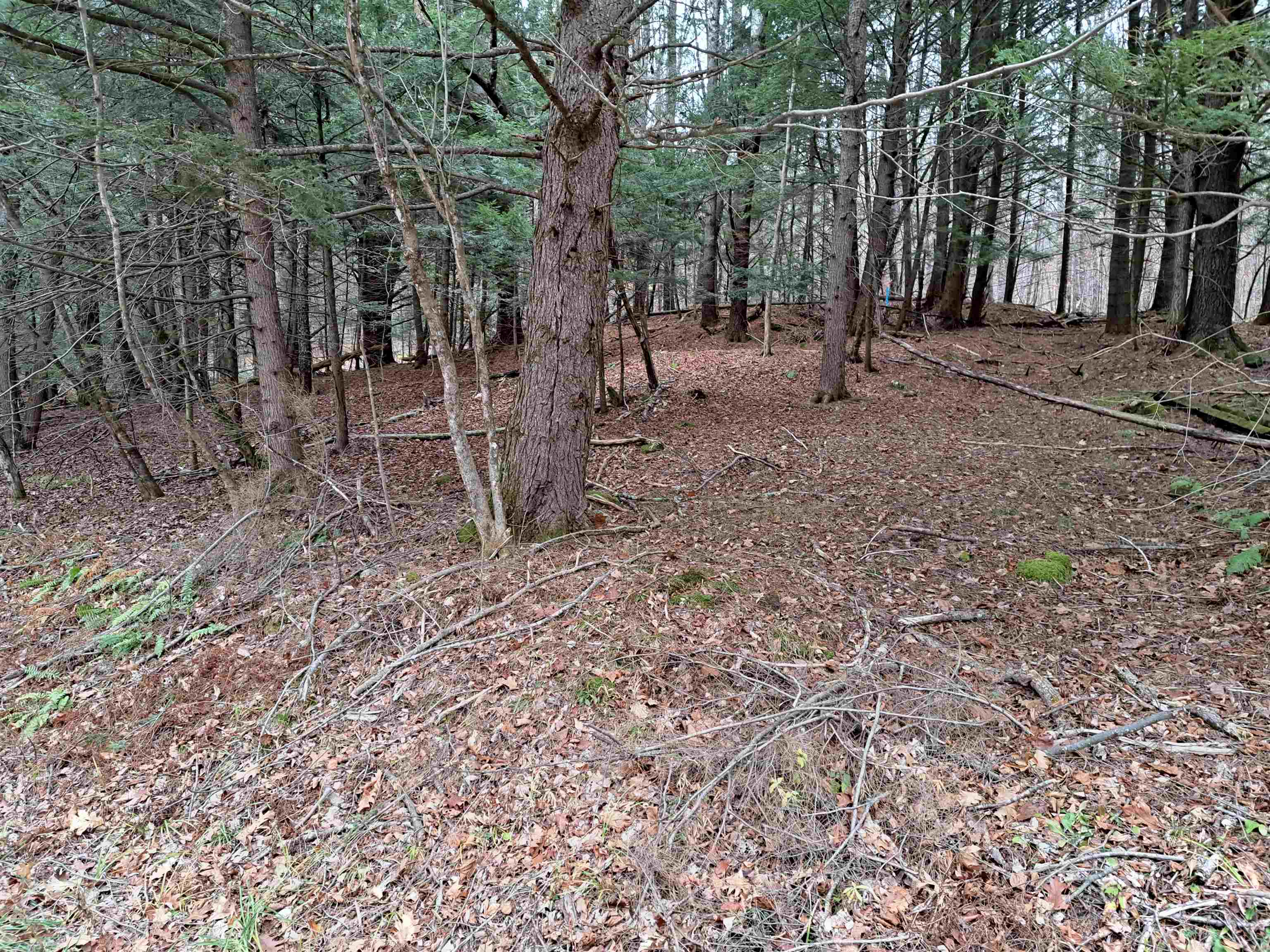 Homes for sale in Unity, NH | 02 West Unity Rd, Unity, NH 03743 | MLS# 5069685