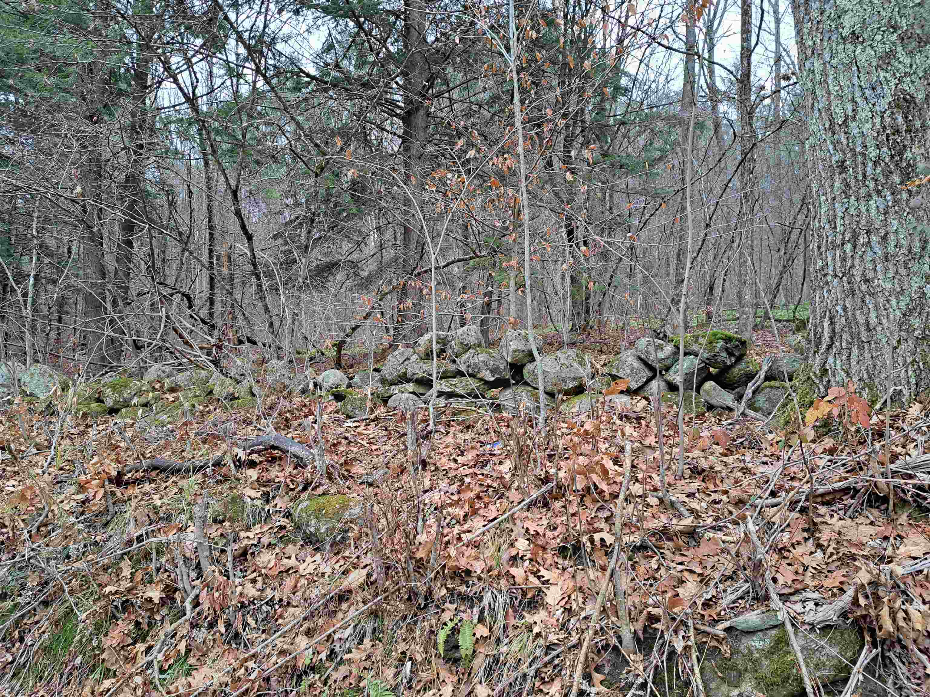 Homes for sale in Unity, NH | 003 West Unity Rd, Unity, NH 03743 | MLS# 5069696