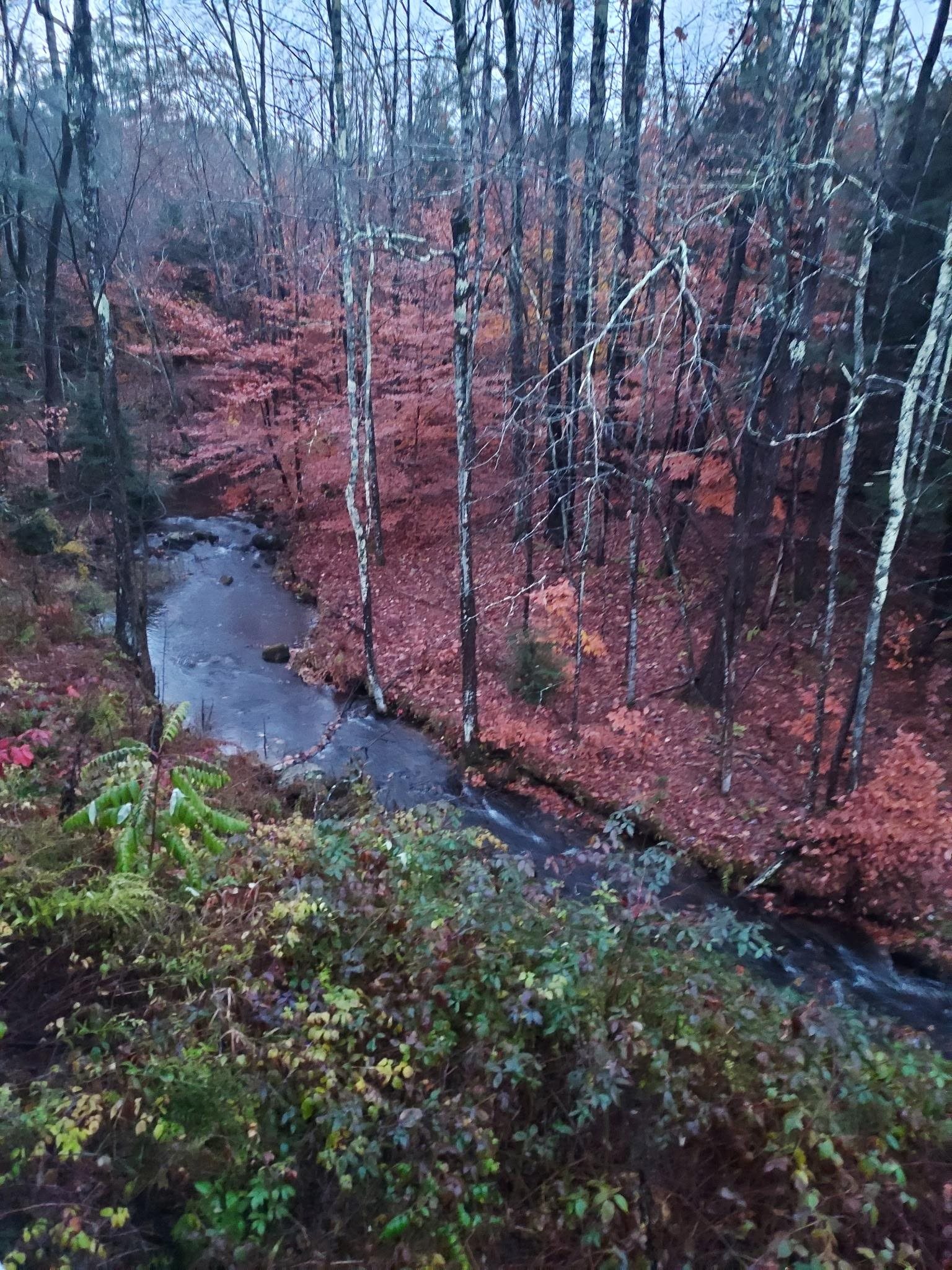 MLS #5069697 image #51