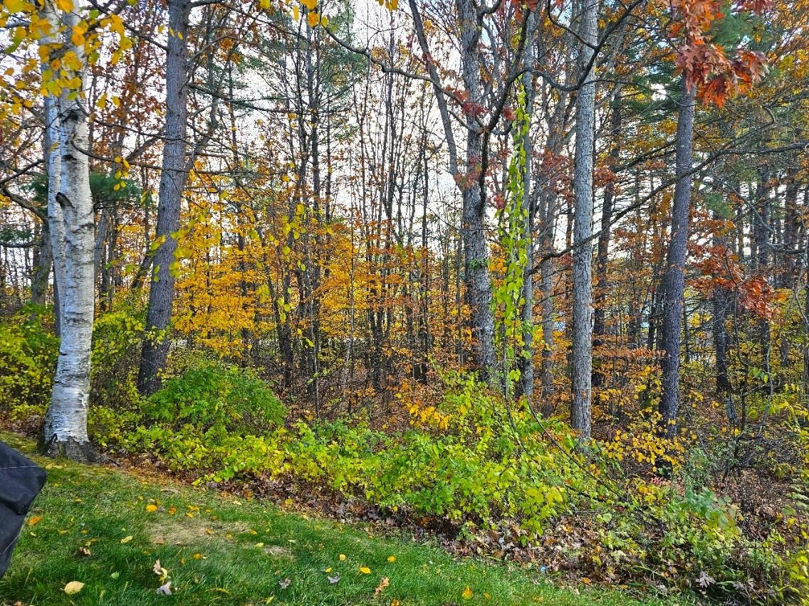 MLS #5069702 image #18