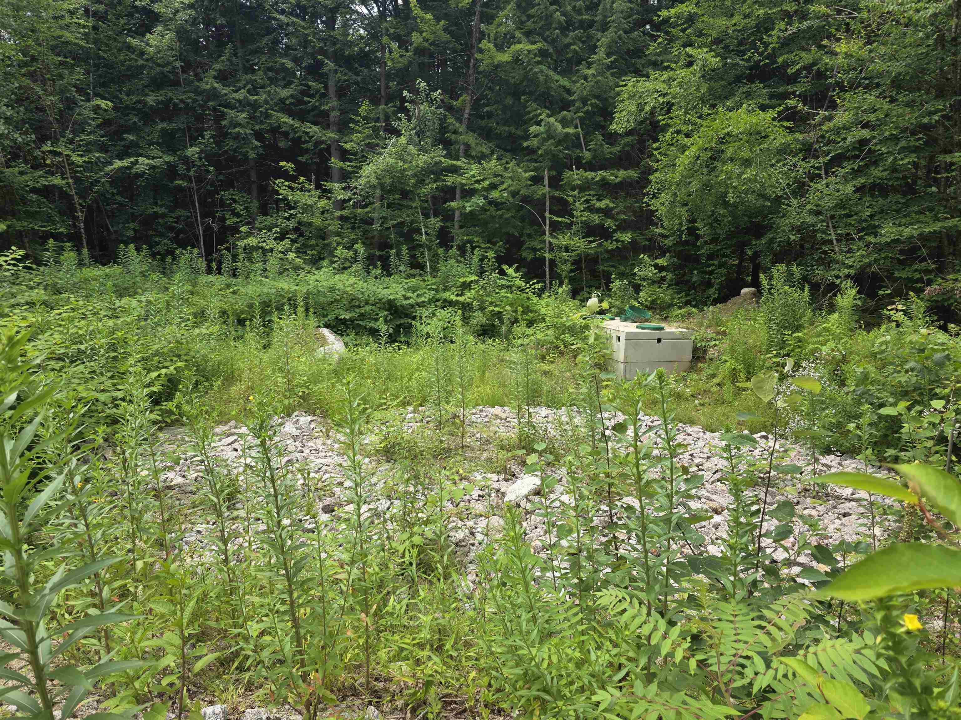 Homes for sale in Hillsborough, NH | 32 Deerpoint Dr, Hillsborough, NH 03244 | MLS# 5069736