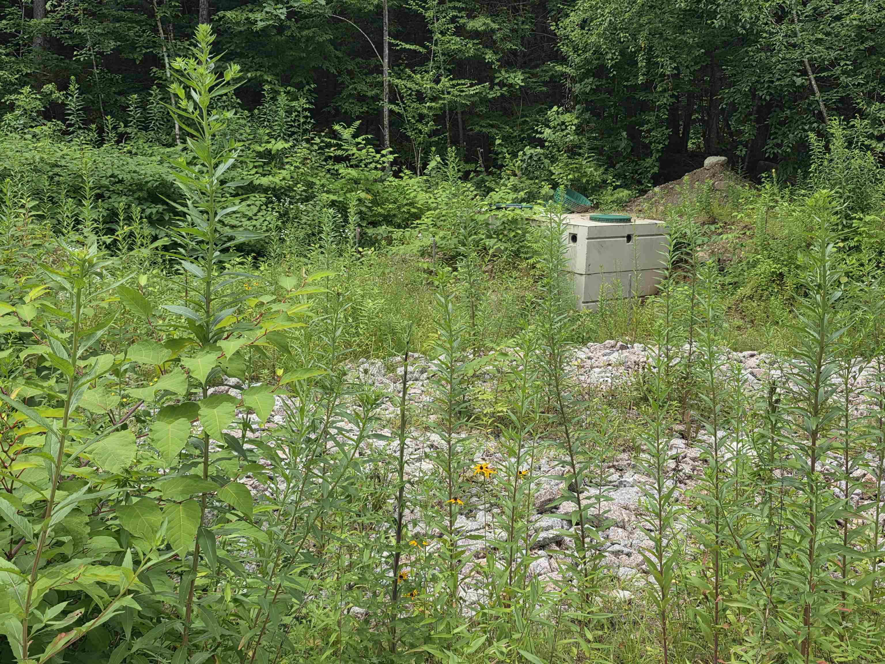 Homes for sale in Hillsborough, NH | 32 Deerpoint Dr, Hillsborough, NH 03244 | MLS# 5069736